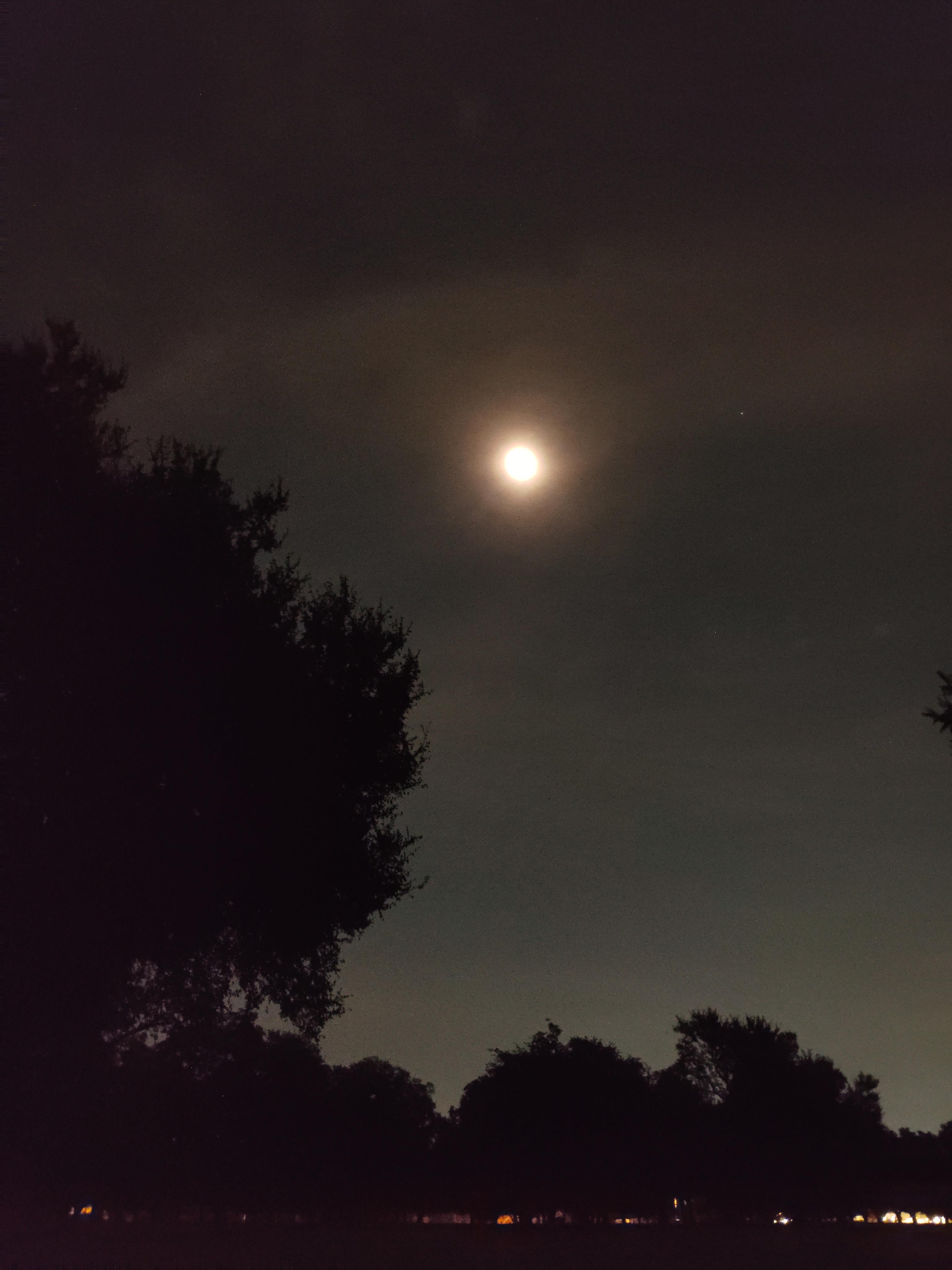 A bright full moon shines through clouds, casting a soft glow over dark silhouettes of trees.