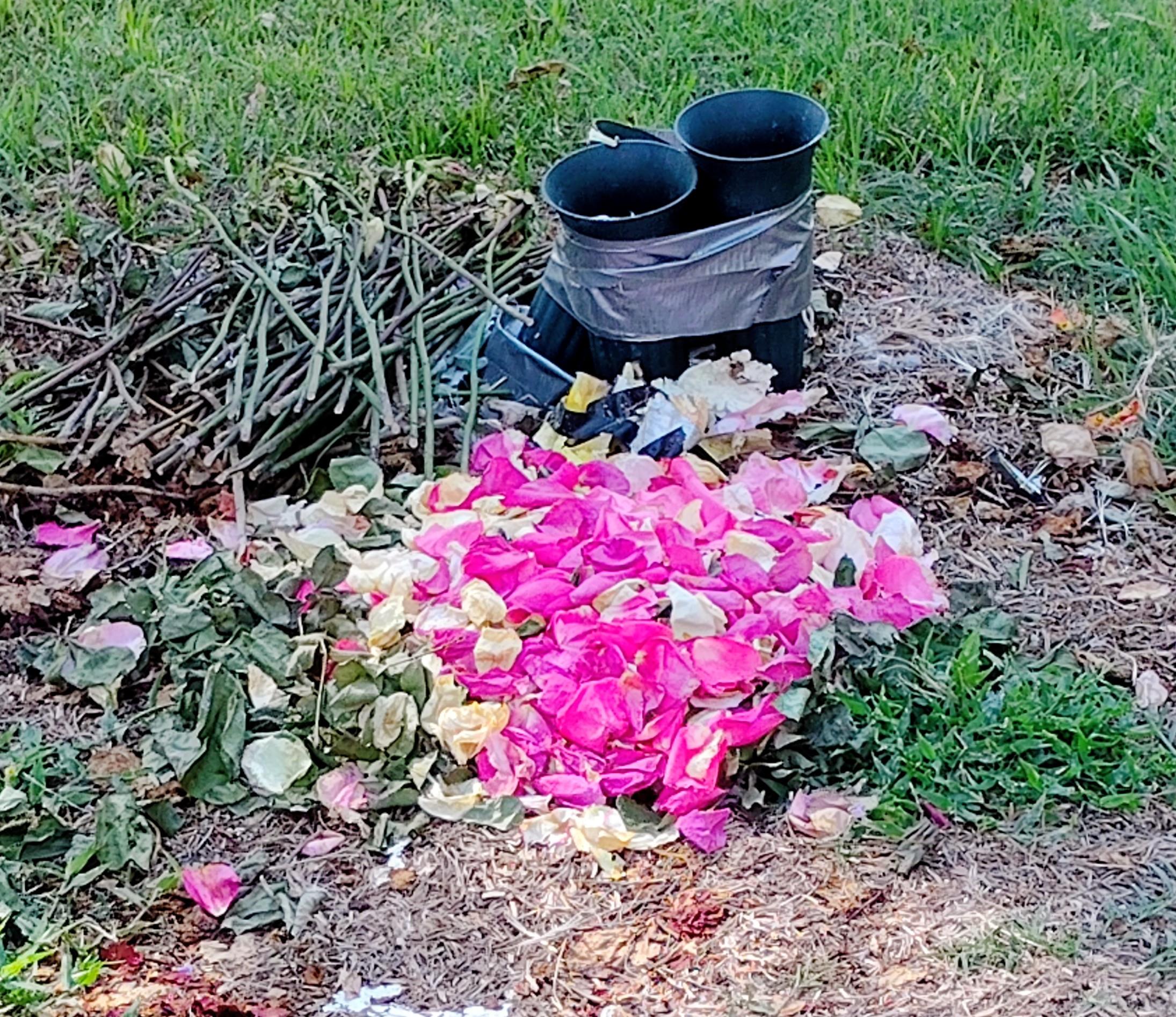 Bright pink and white flower petals rest near black boots in a verdant garden.
