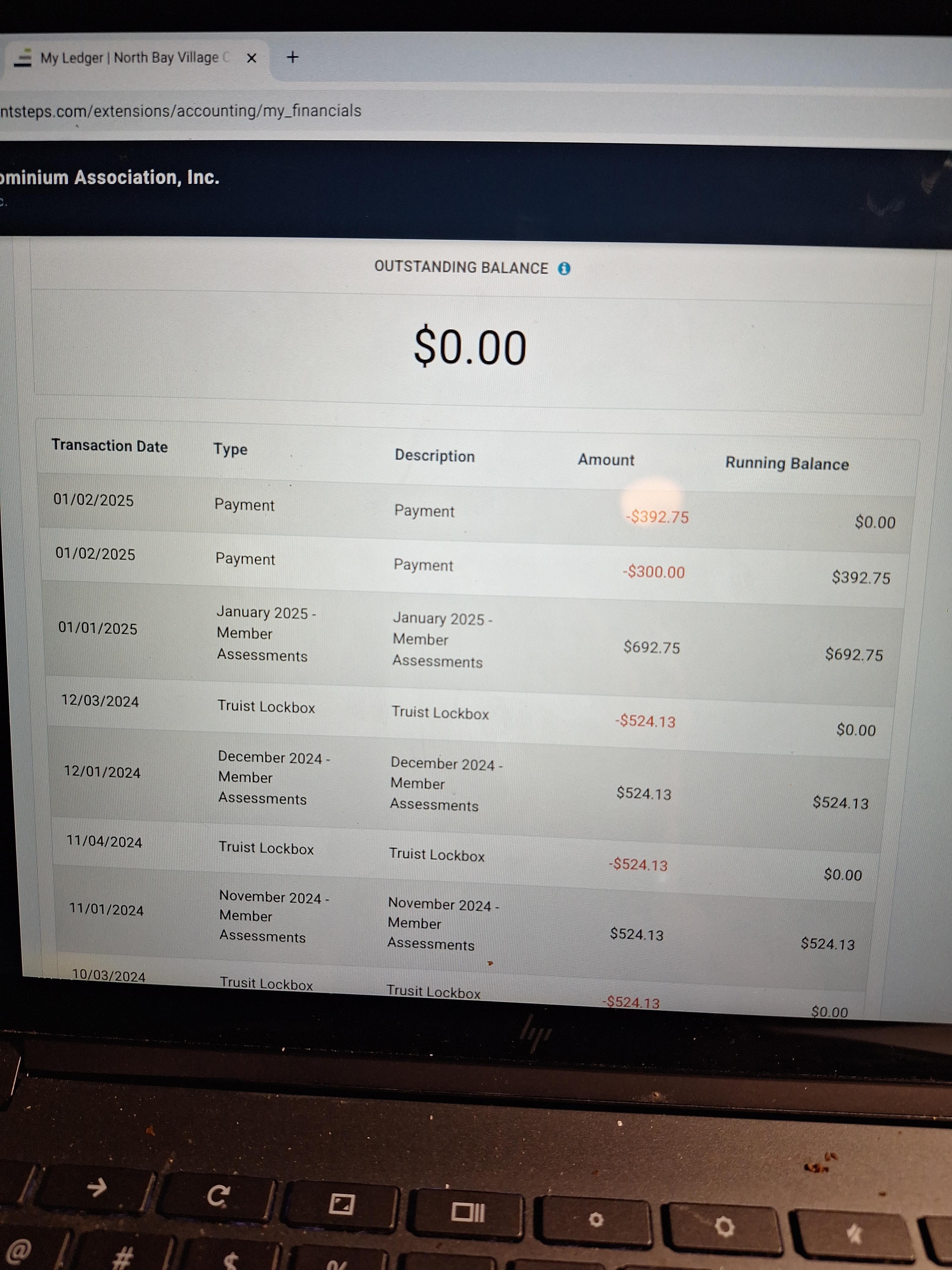 A laptop screen displays a detailed financial record with balance and transactions.