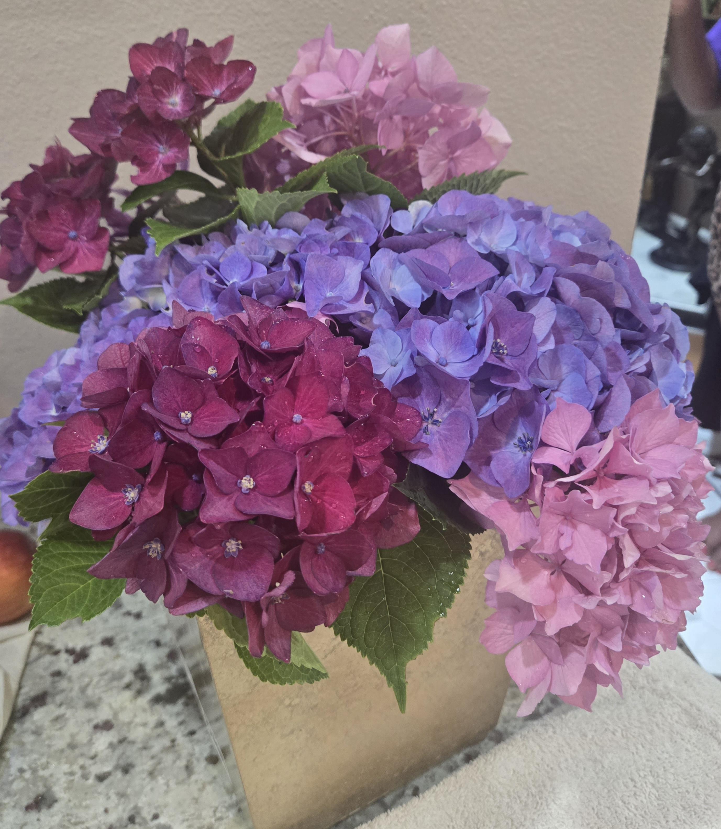Vibrant hydrangeas in shades of pink and purple arranged elegantly on a table.