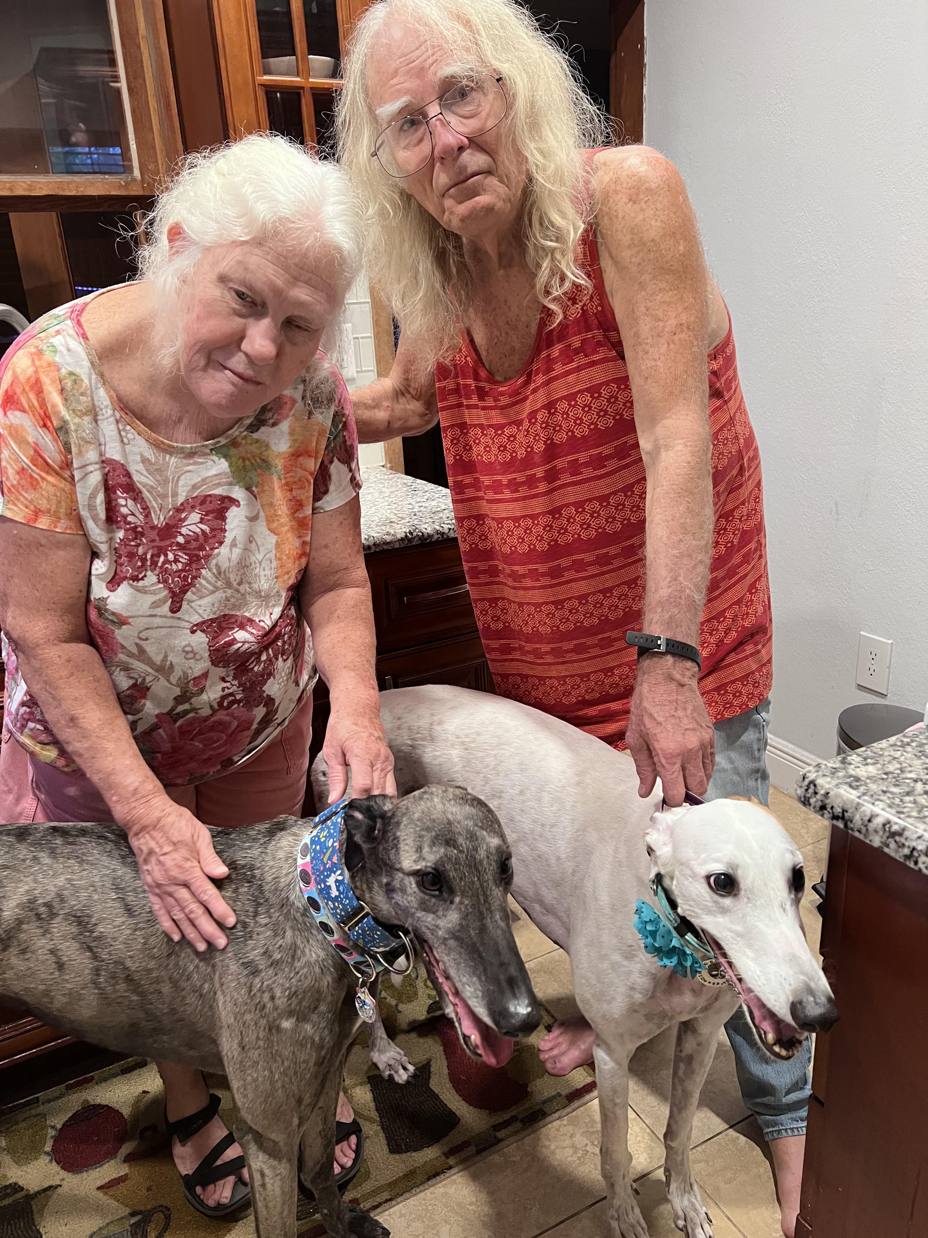 Two women smile while lovingly interacting with their greyhounds in a comfortable home.