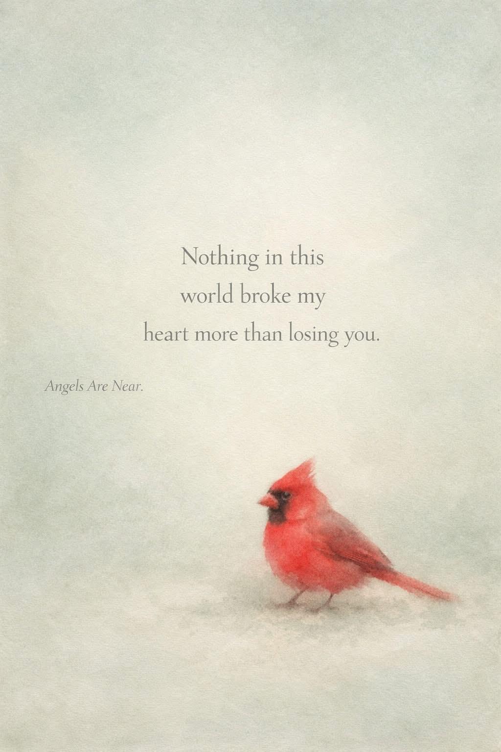 A red bird standing on snow