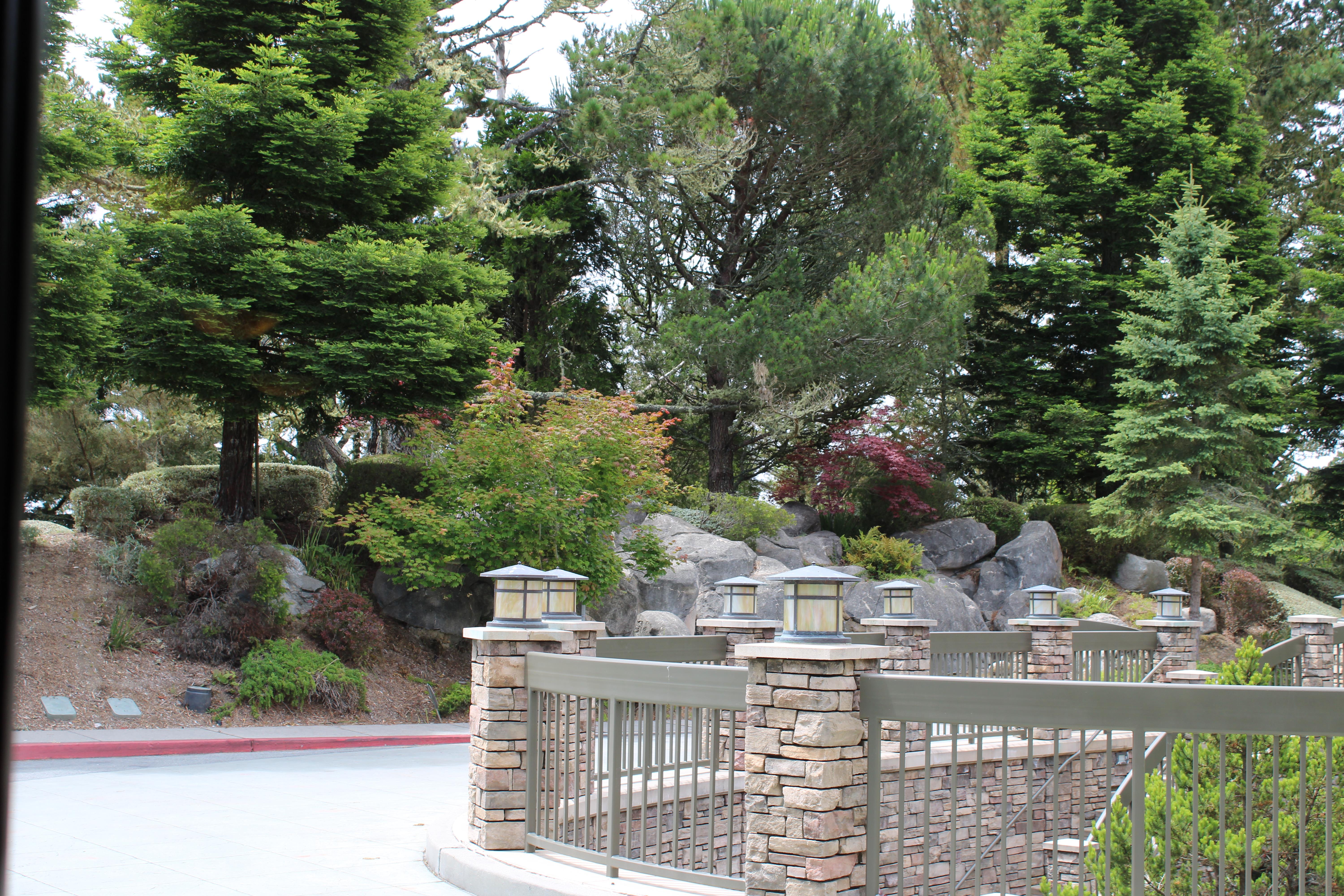 A tranquil garden showcases stone walls, vibrant plants, and tall trees under clear skies.