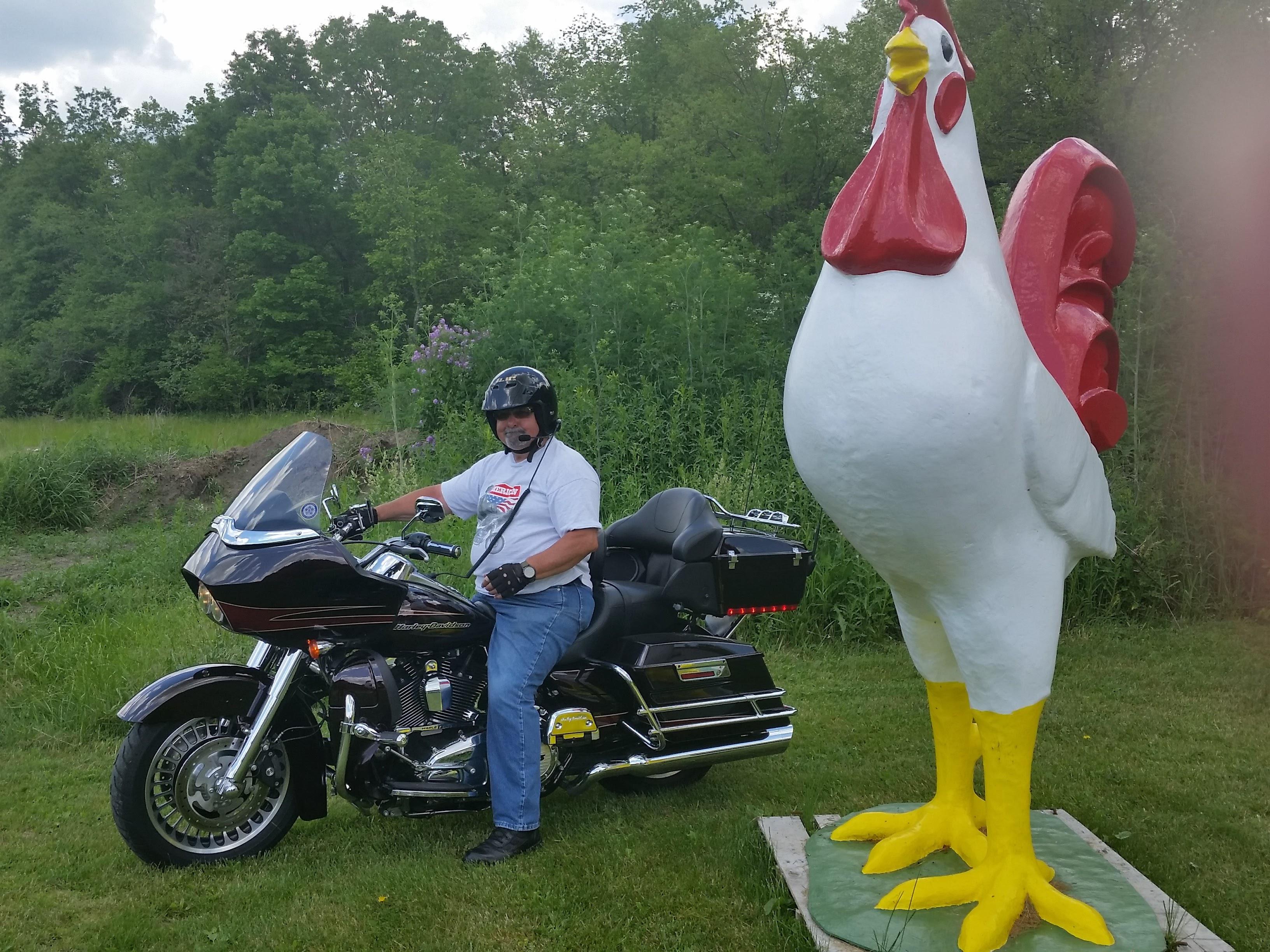 A man in a helmet rides a motorcycle beside an oversized chicken statue in a green area.