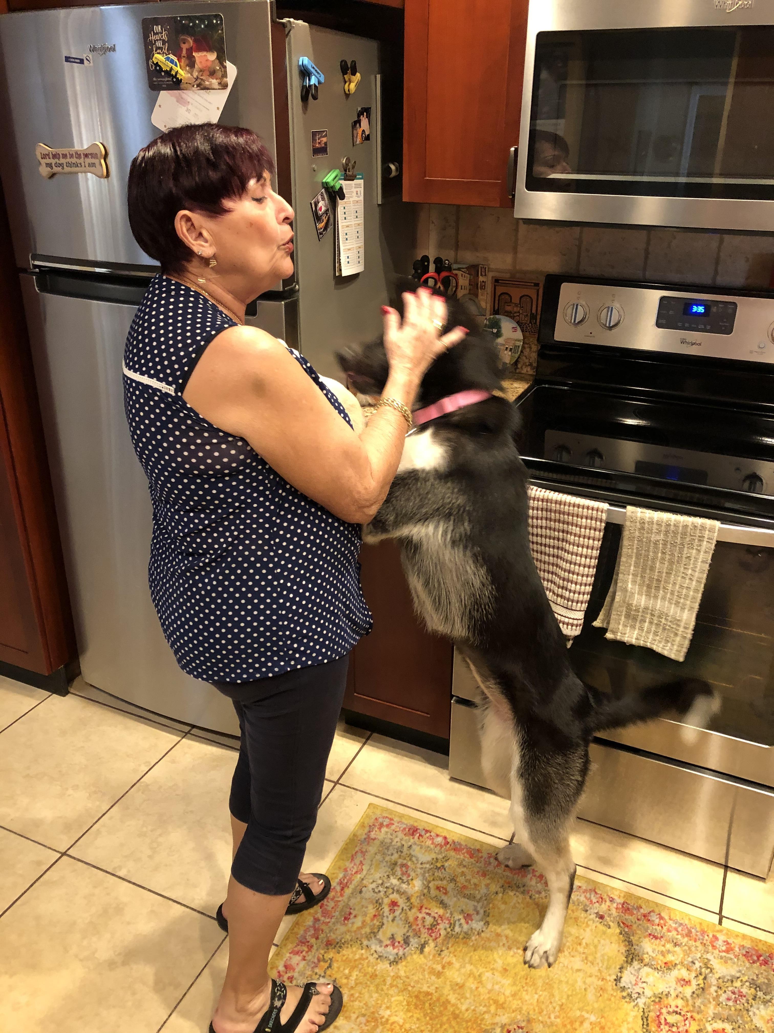 Woman in a polka dot blouse lovingly plays with her dog in a cheerful kitchen setting.