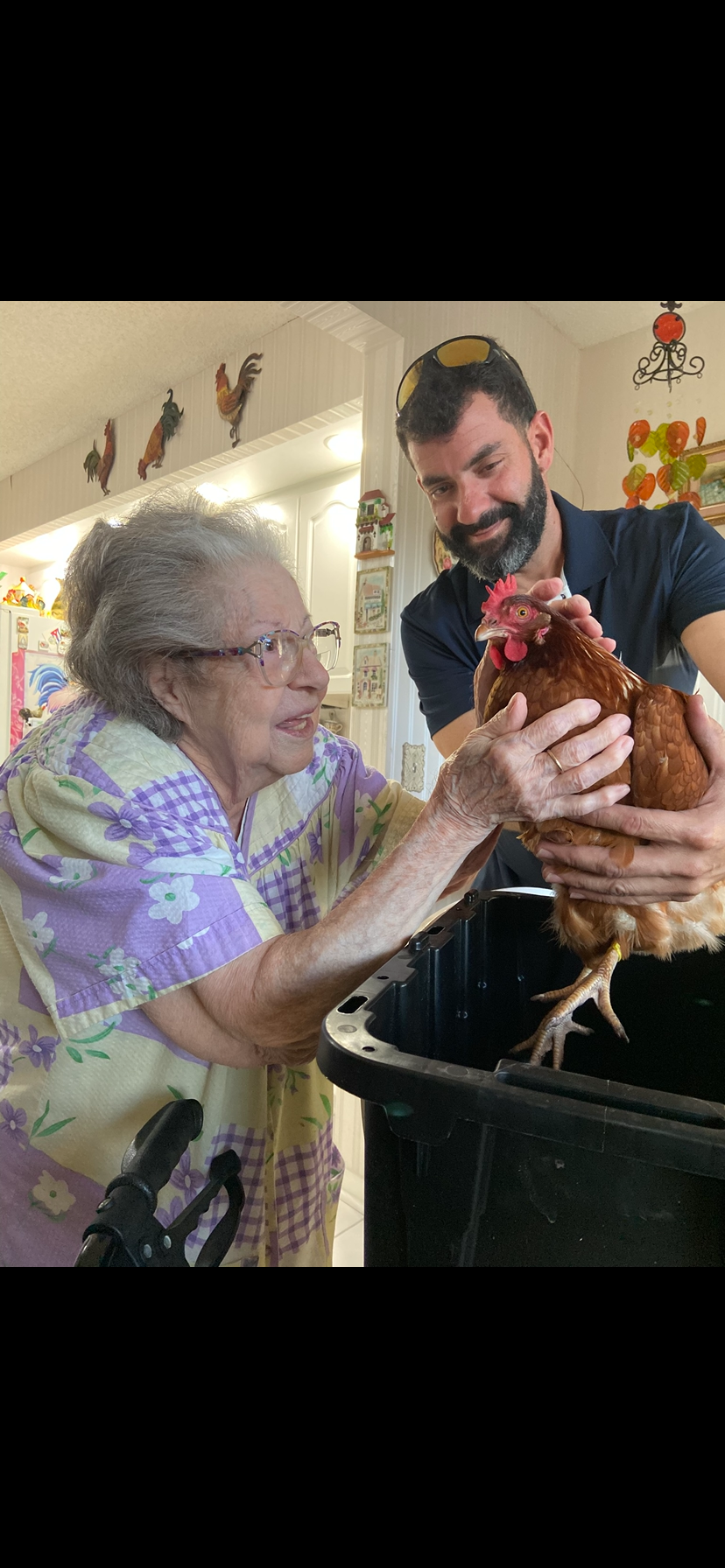 A cheerful elderly woman joyfully interacts with a hen, supported by a smiling young man.