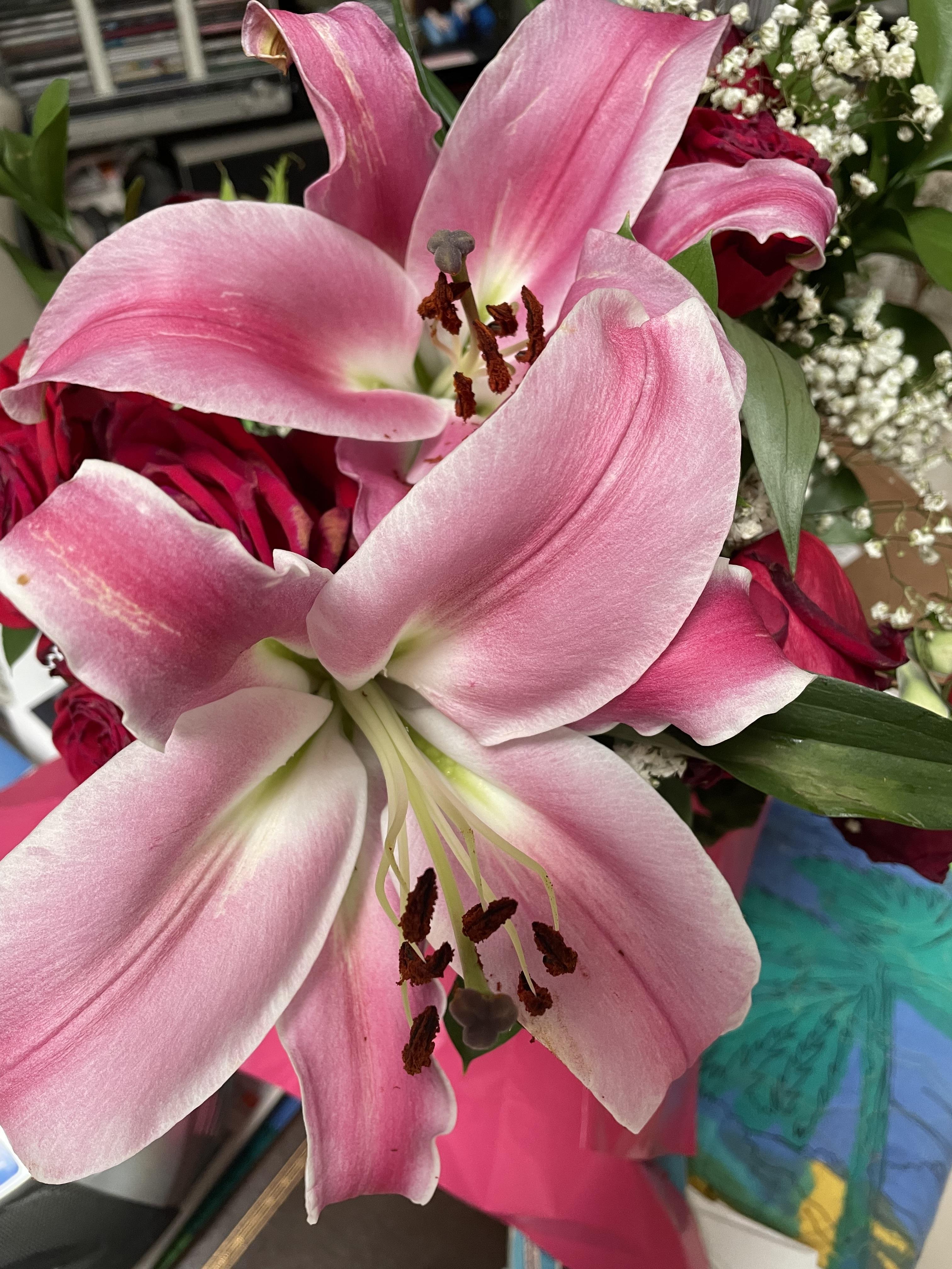 Bright pink lilies and red roses create an elegant bouquet against a vibrant backdrop.