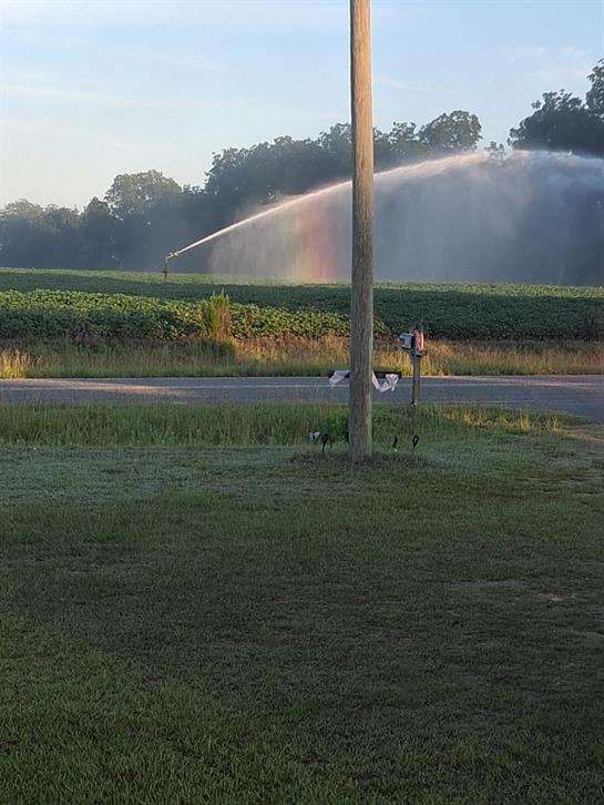 A water sprinkler spraying water on a telephone pole