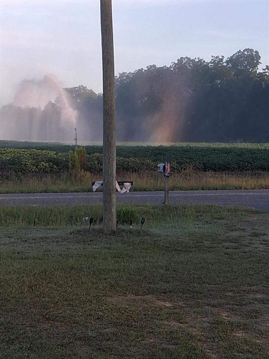A telephone pole in a field