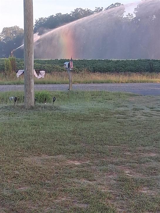 A water sprinkler spraying water on a field