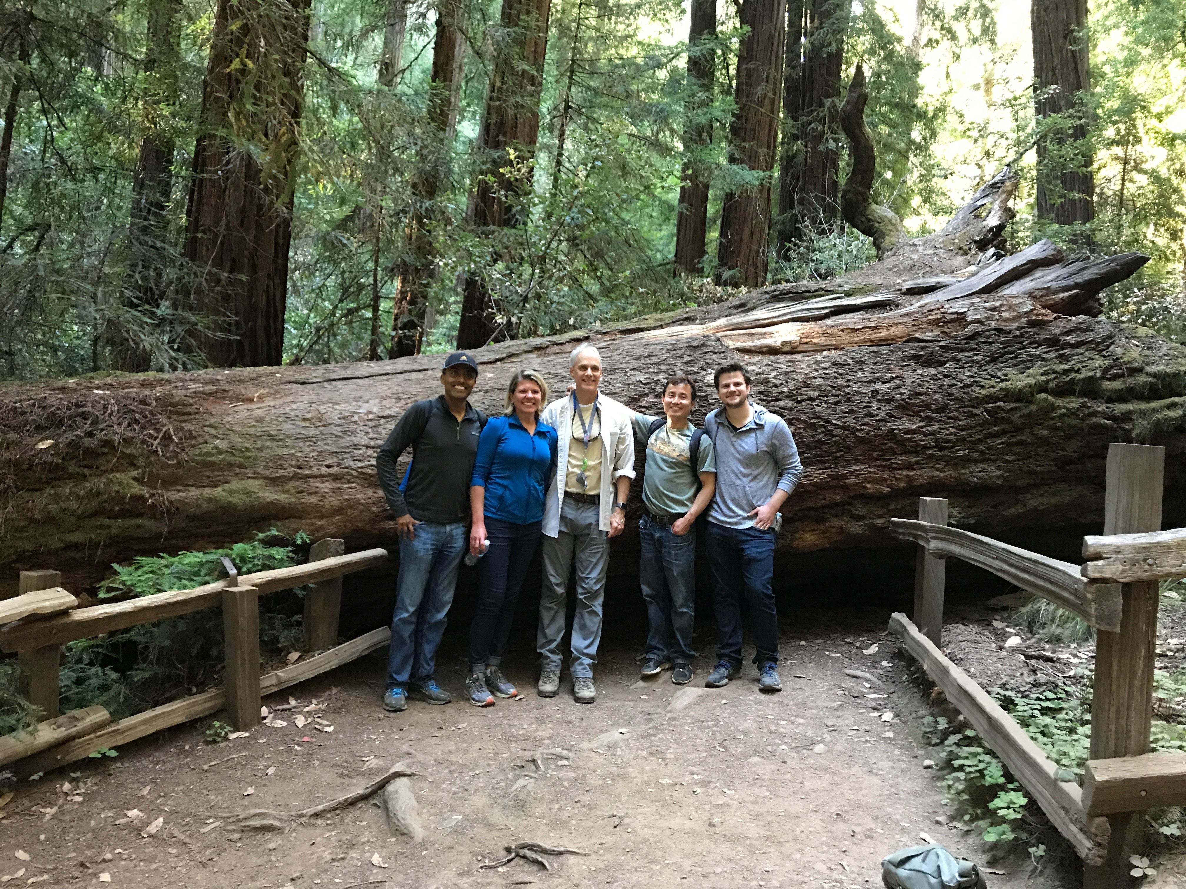 Friends gather around a massive fallen tree in a lush forest, enjoying a memorable outdoor outing.