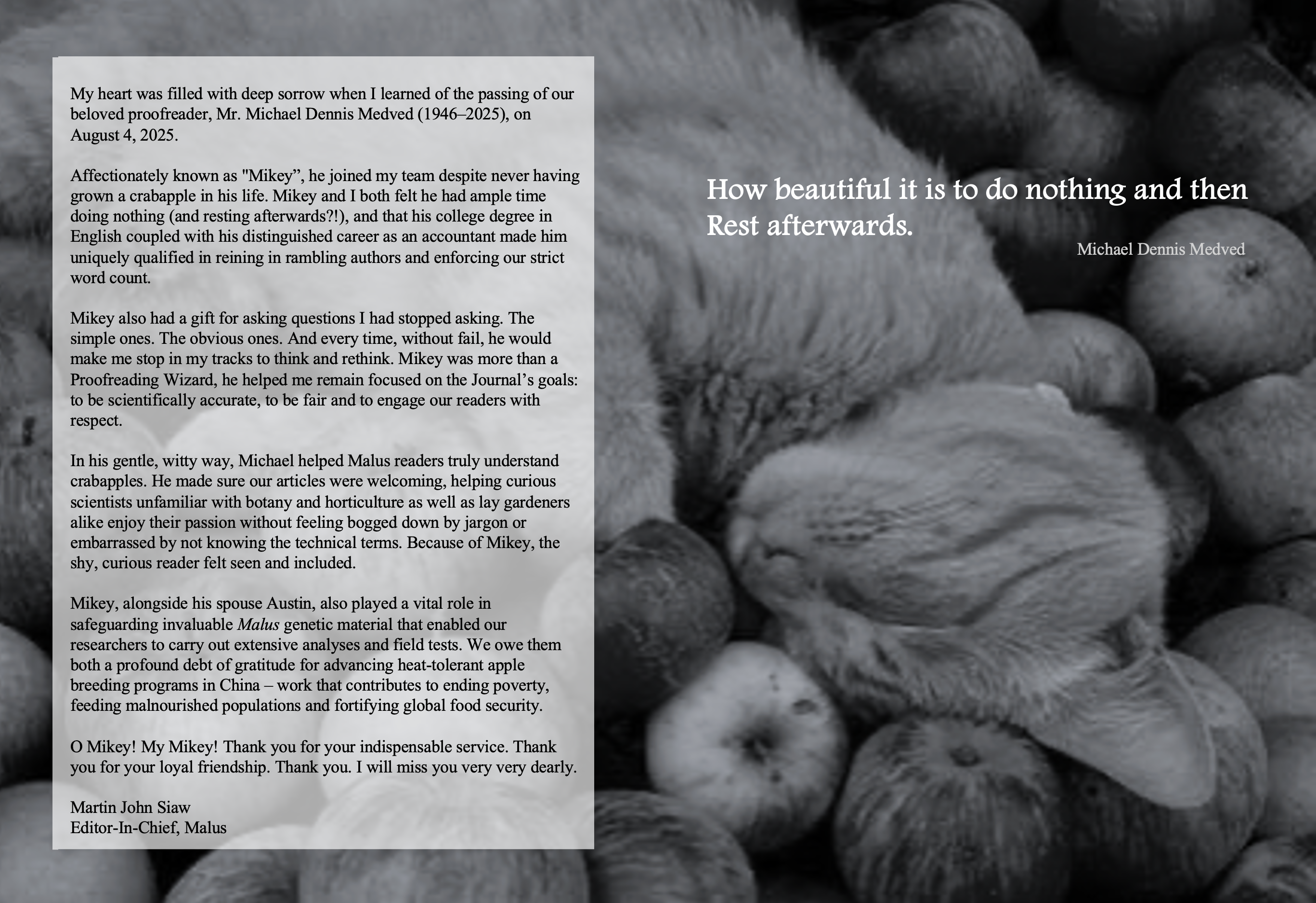 Honoring Michael Dennis Medved and his impact on our community through shared memories.