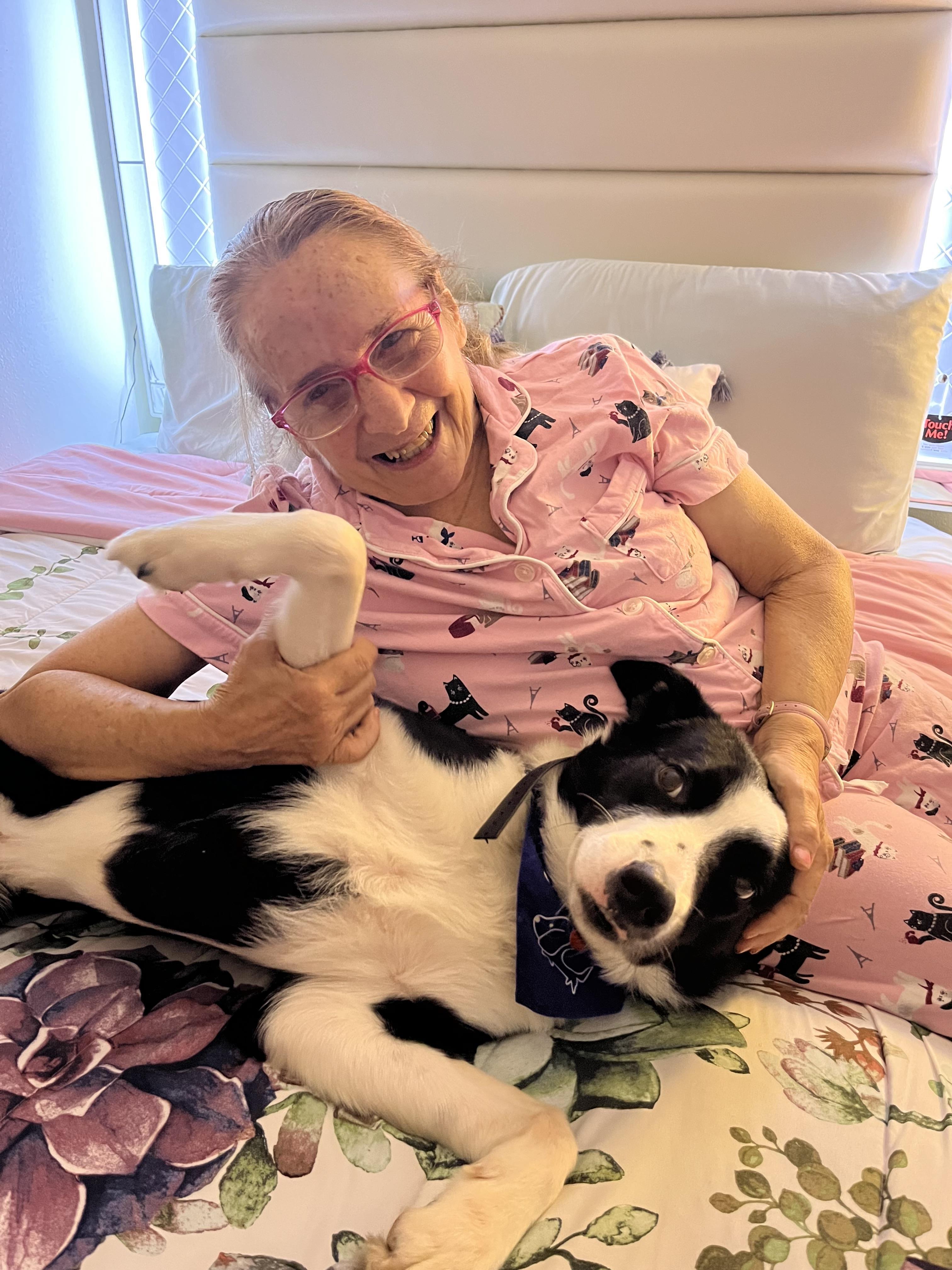 An elderly woman enjoys quality time with her black and white dog while relaxing on a bed.