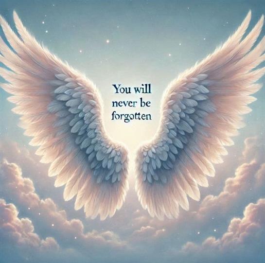 A white angel wings in the sky