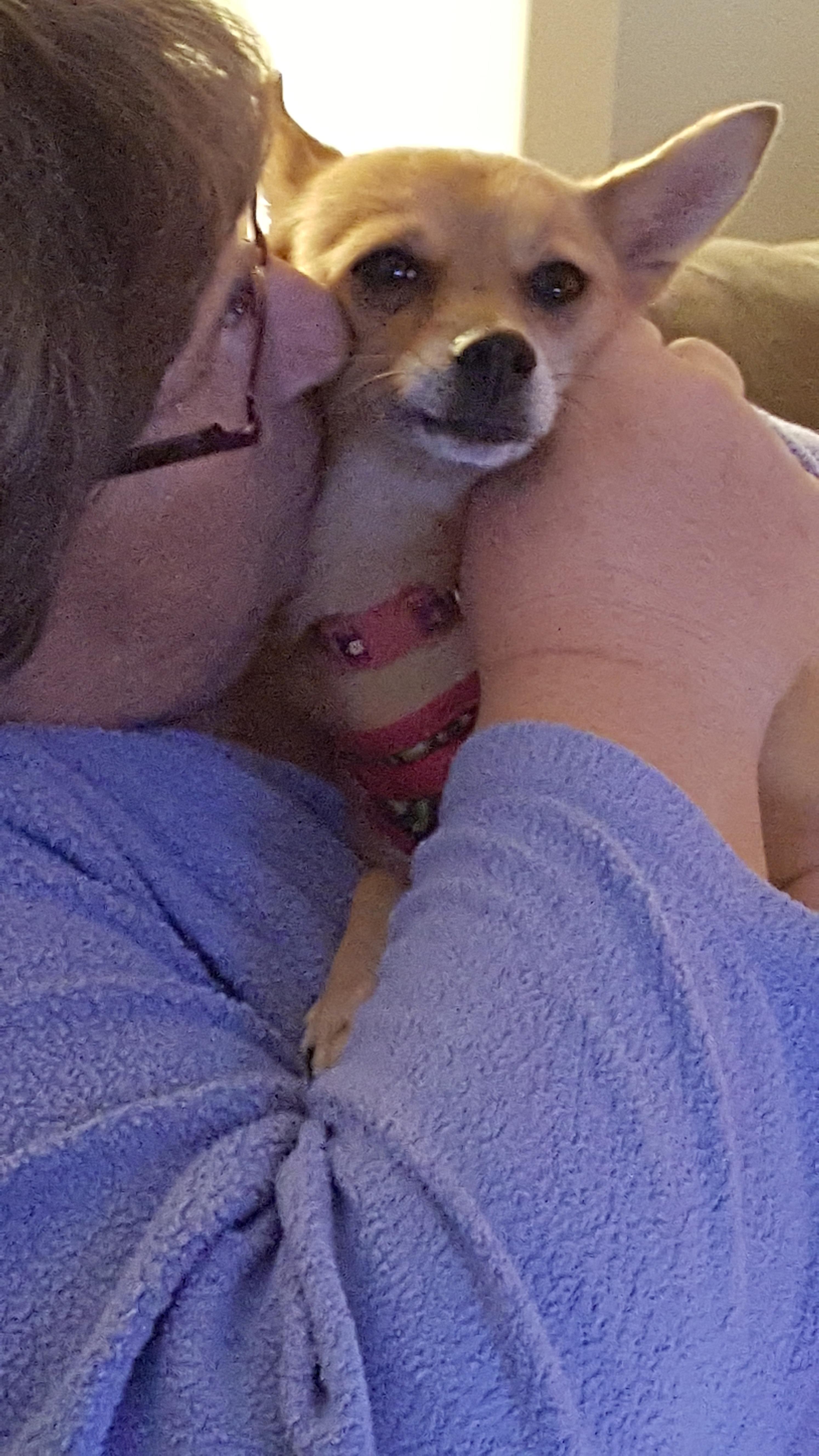 A person embraces a small dog, creating a warm bond in a cozy indoor space at night.