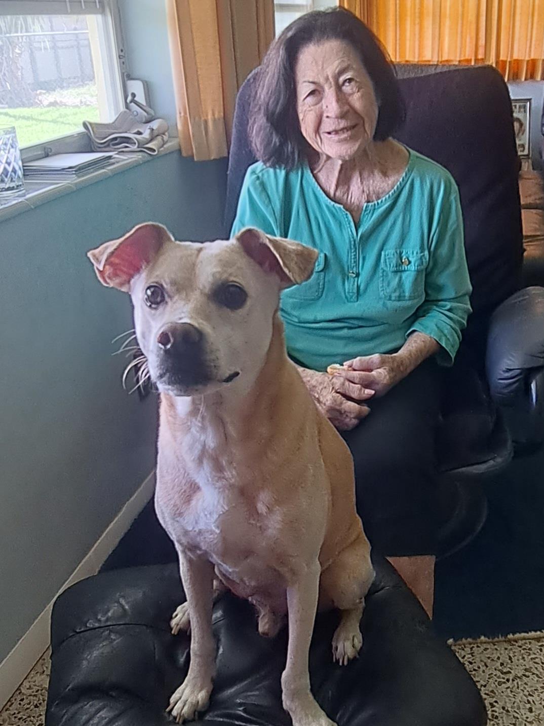An older woman sits comfortably in a chair with her adorable dog beside her, both relaxed indoors.