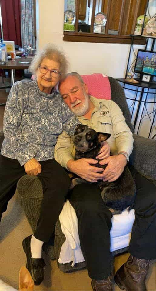 Senior man and woman sit comfortably on a couch, sharing quality time with their pet dog.