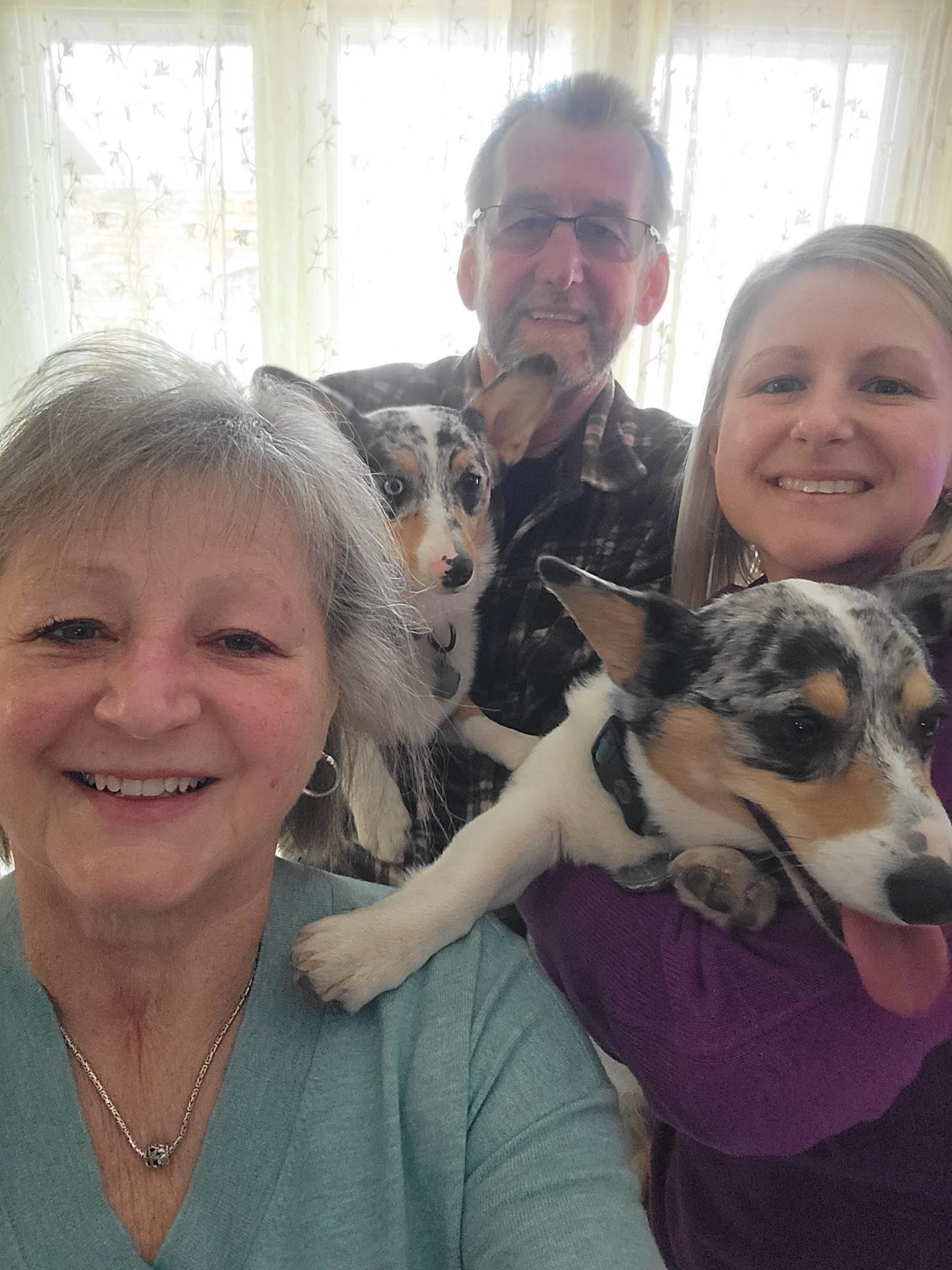 Family members share happy moments with their two playful dogs, enjoying a warm day indoors.