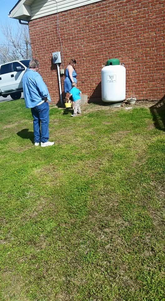 Two children play in a grassy backyard while an adult stands nearby, enjoying the sunny day.