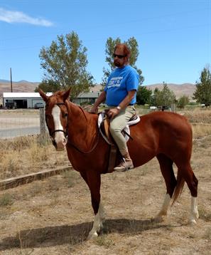 A man wearing a blue shirt rides a chestnut horse in a sunlit rural setting.