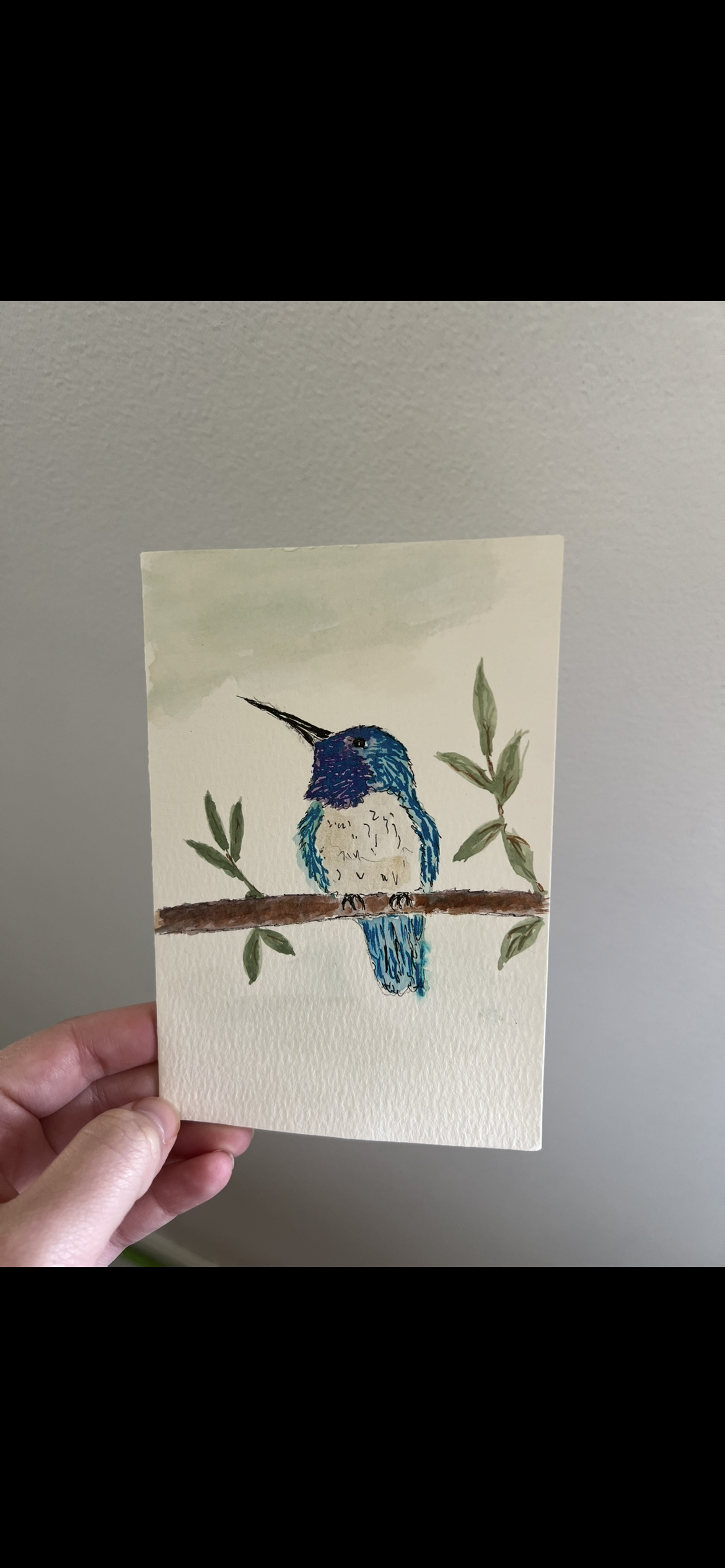 A vibrant blue and white hummingbird sits on a branch, surrounded by green leaves.