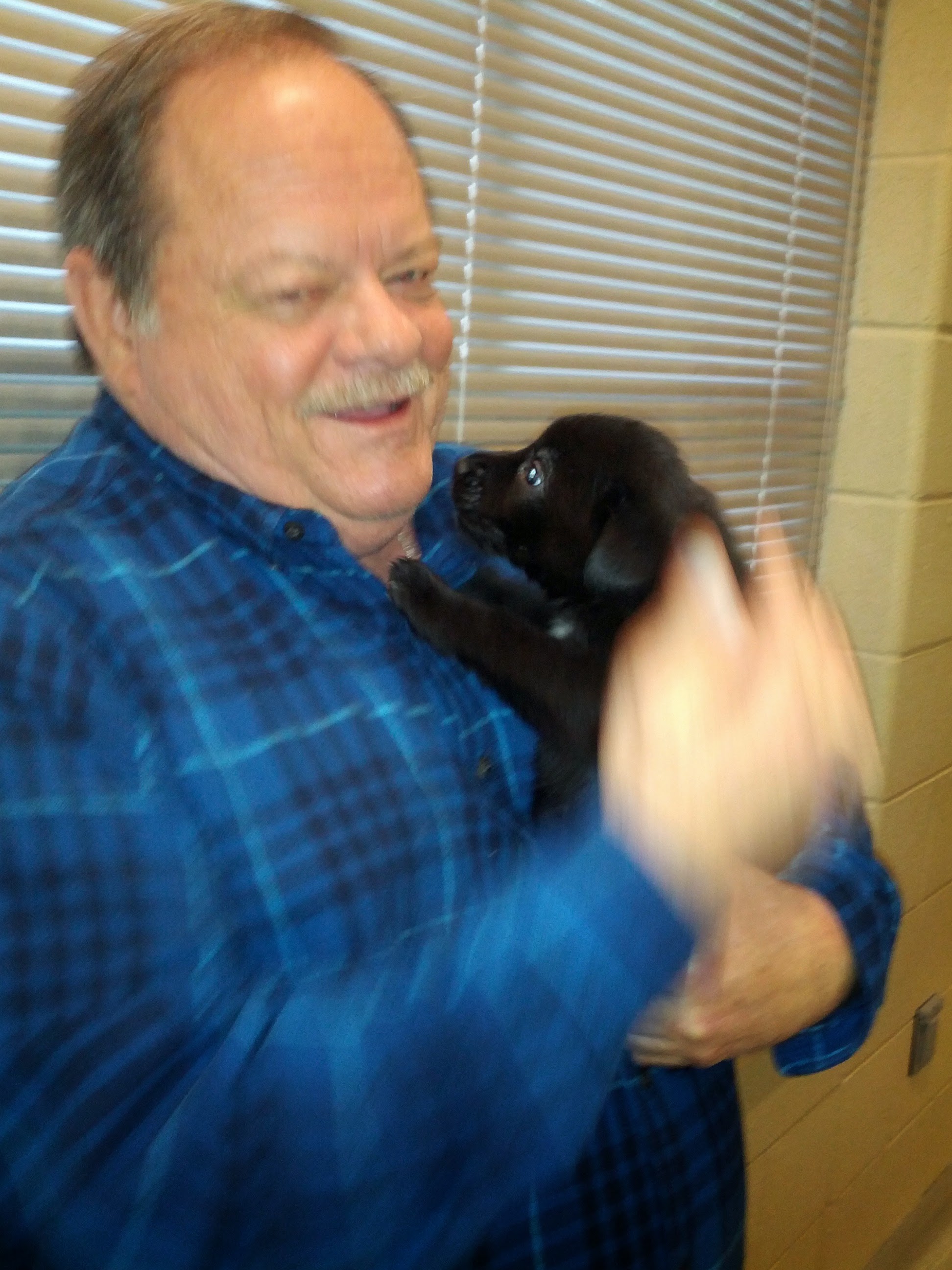 An elderly man joyfully interacts with a small black puppy at an animal shelter, smiling broadly.