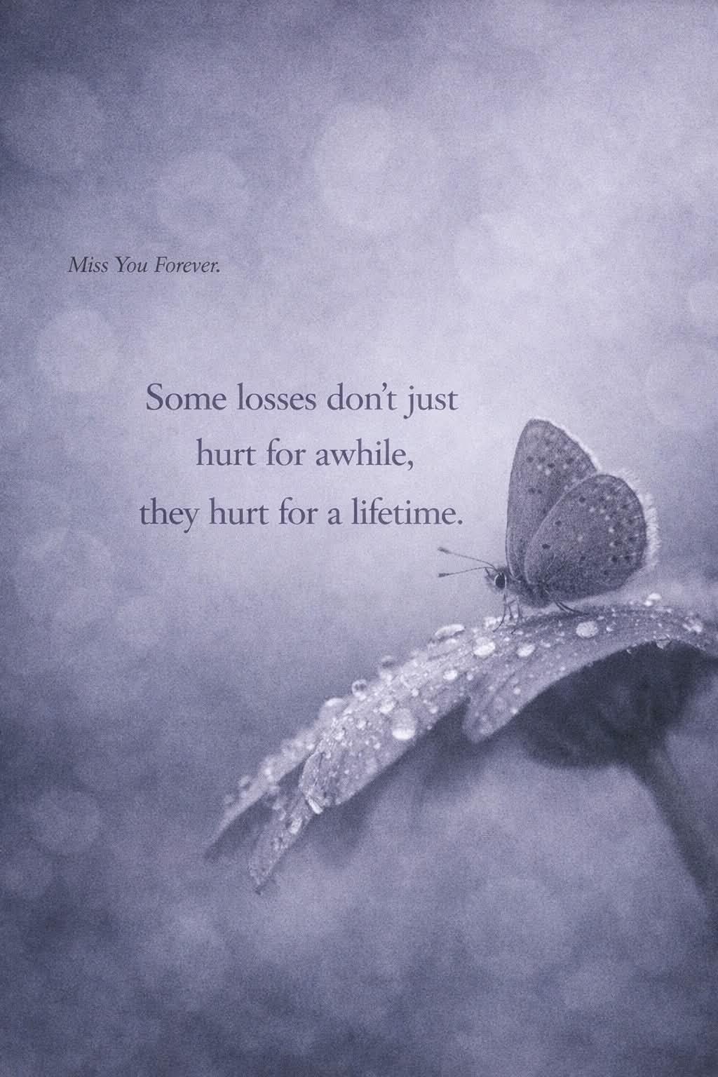 A butterfly on a flower