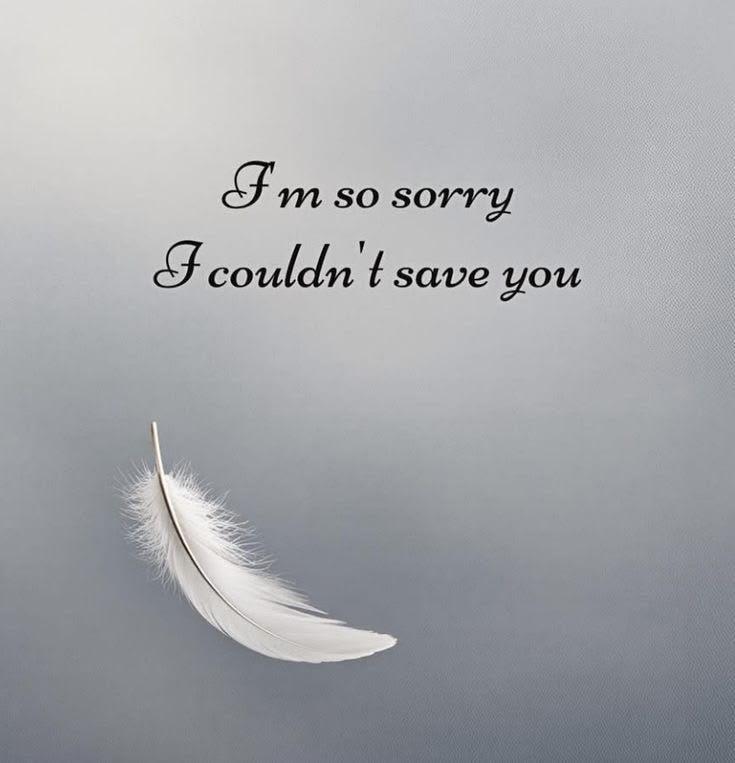 A white feather floating in the air