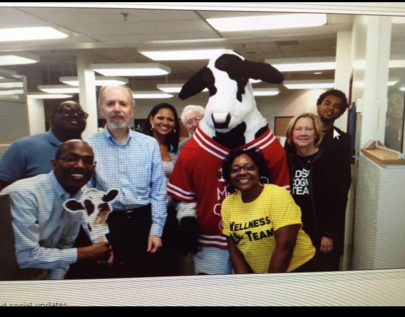 Office staff gather with a cow mascot to celebrate teamwork and engage in a fun activity together.