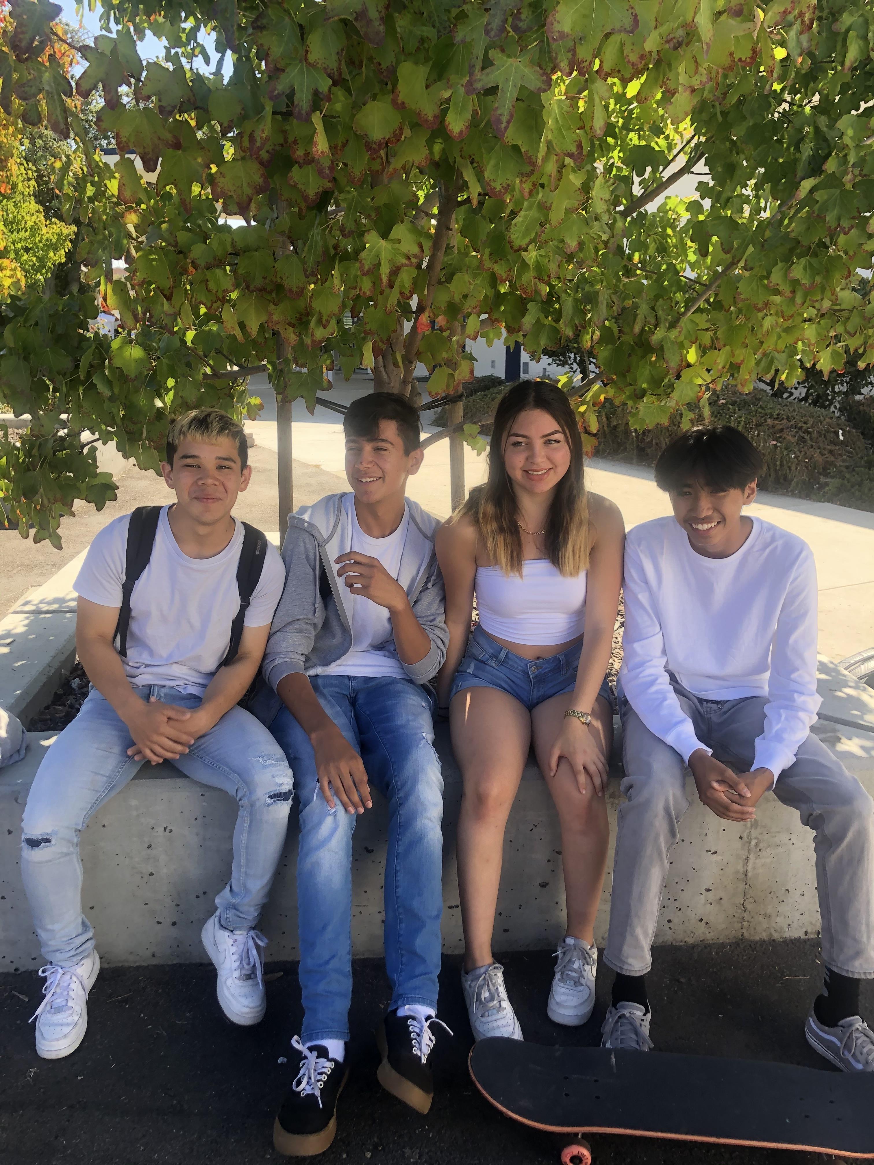 A group of people sitting under a tree