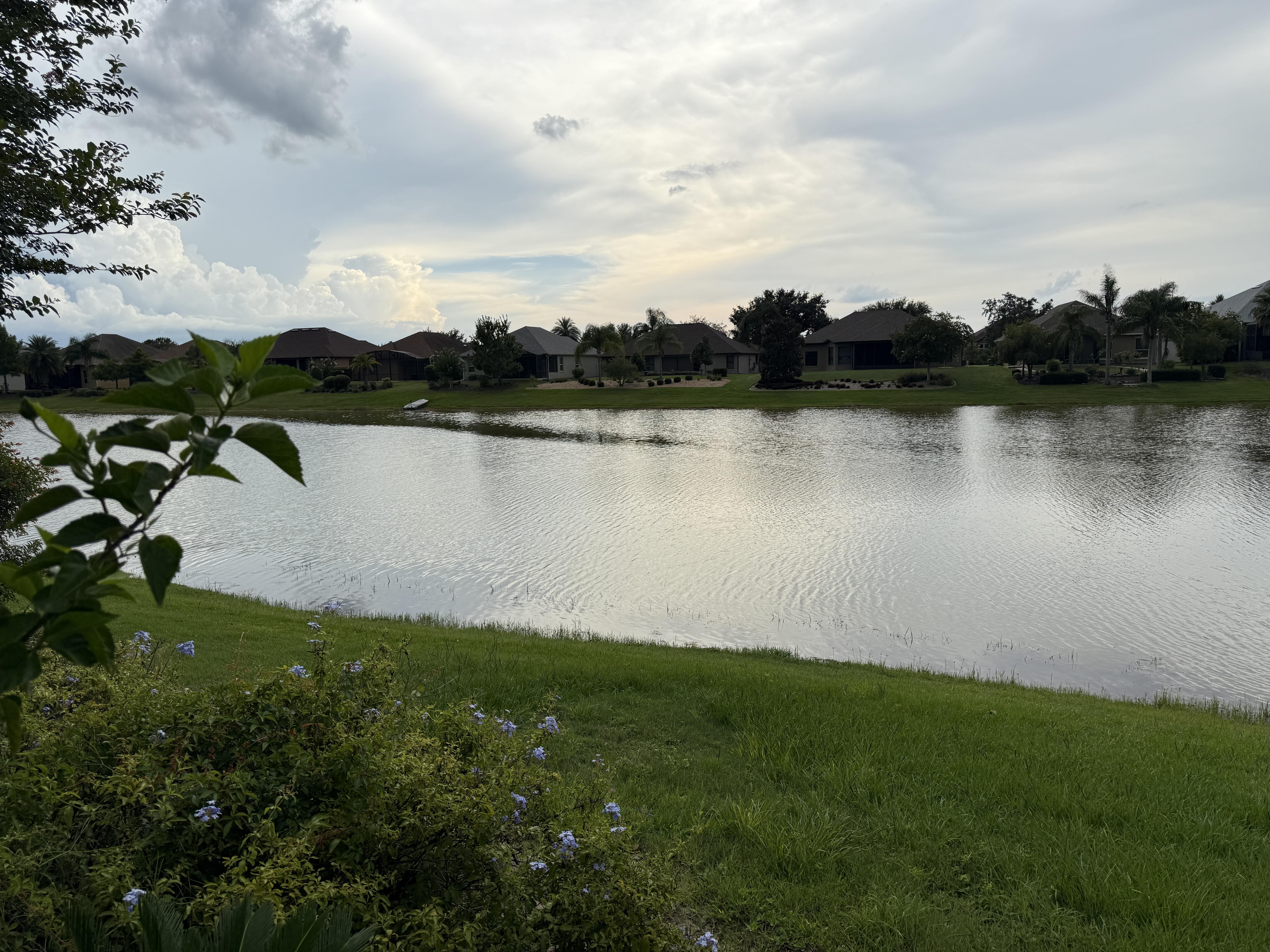 A view shows a calm water surface with homes nearby and grass along the shore in the afternoon.