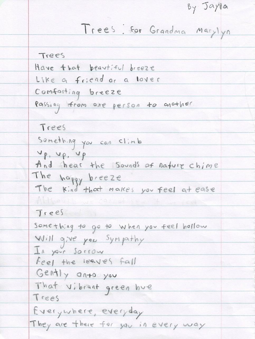 A person writes about trees and feelings in a notebook on a calm afternoon.