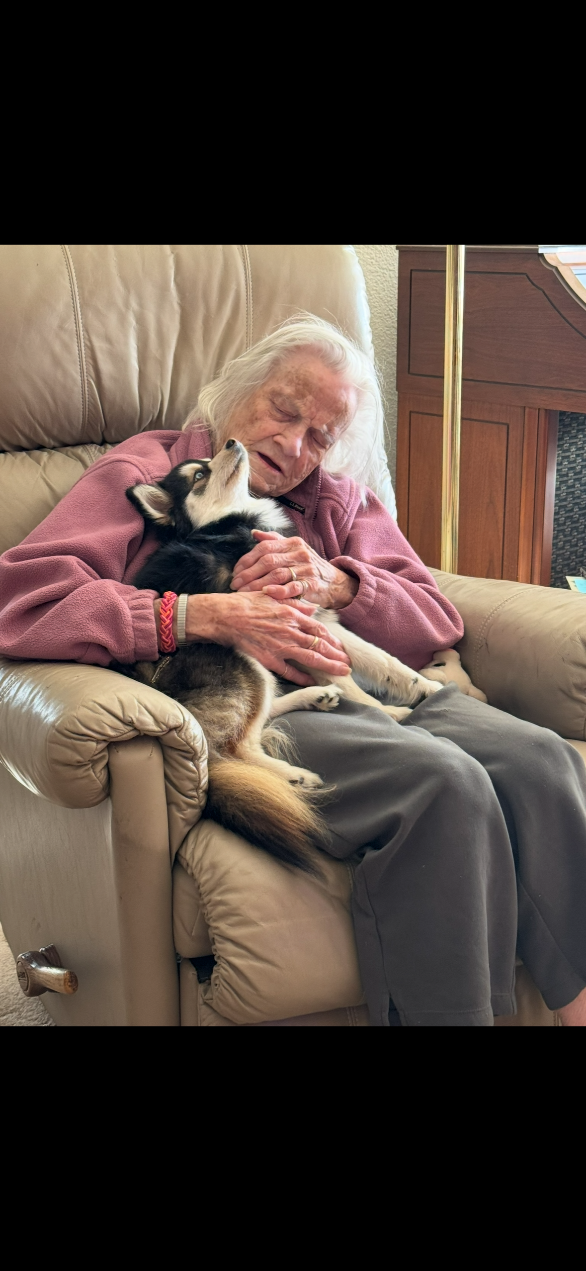 Woman holds a dog in her lap while sitting in a chair at home. They look close and happy together.