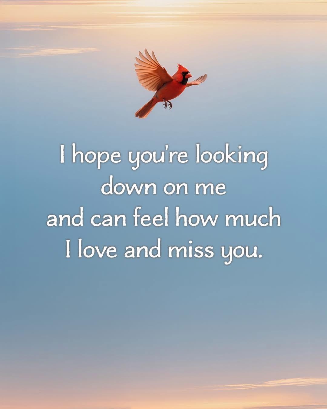 A red bird is in flight against a blue sky with a heartfelt message about love and missing someone.