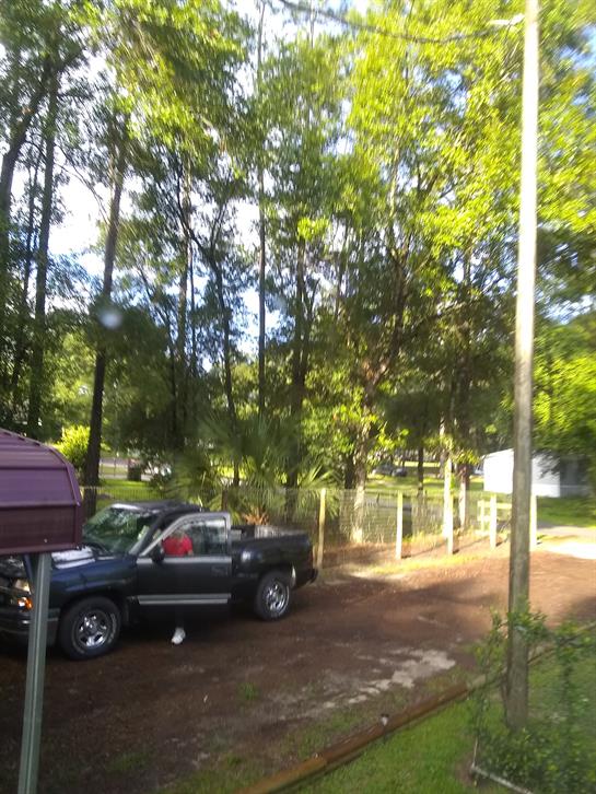 A truck parked in a driveway