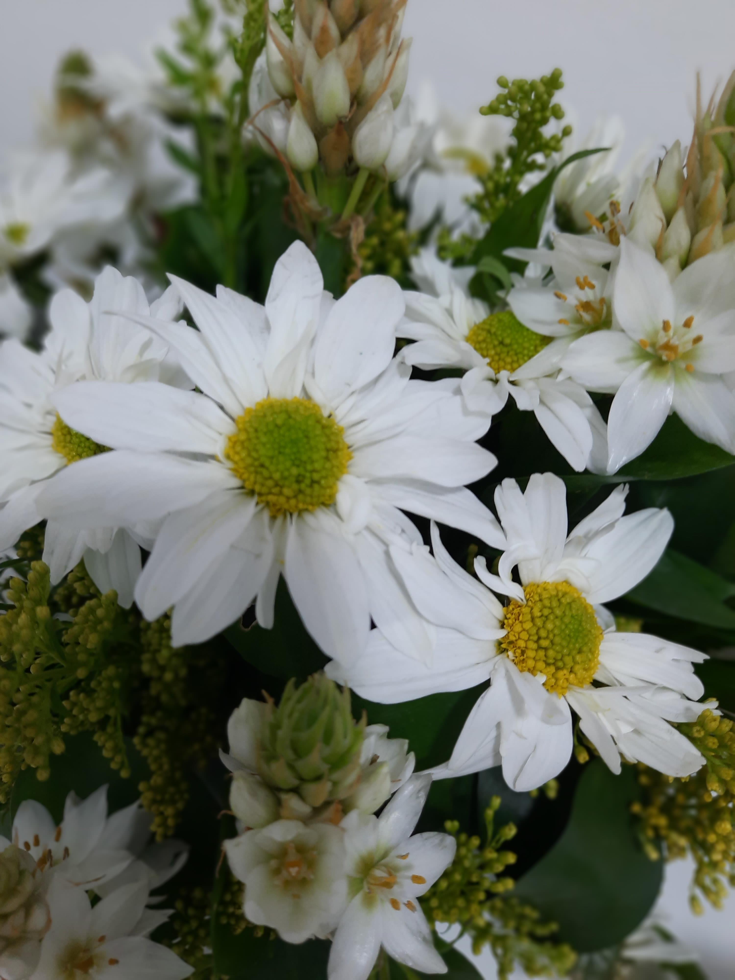 White flowers are seen growing alongside green leaves in a garden setting.