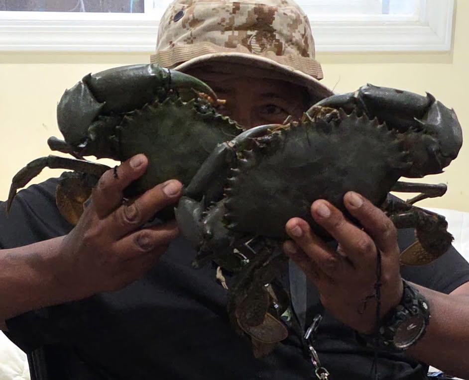Person shows two crabs in hands while inside a building with natural light.