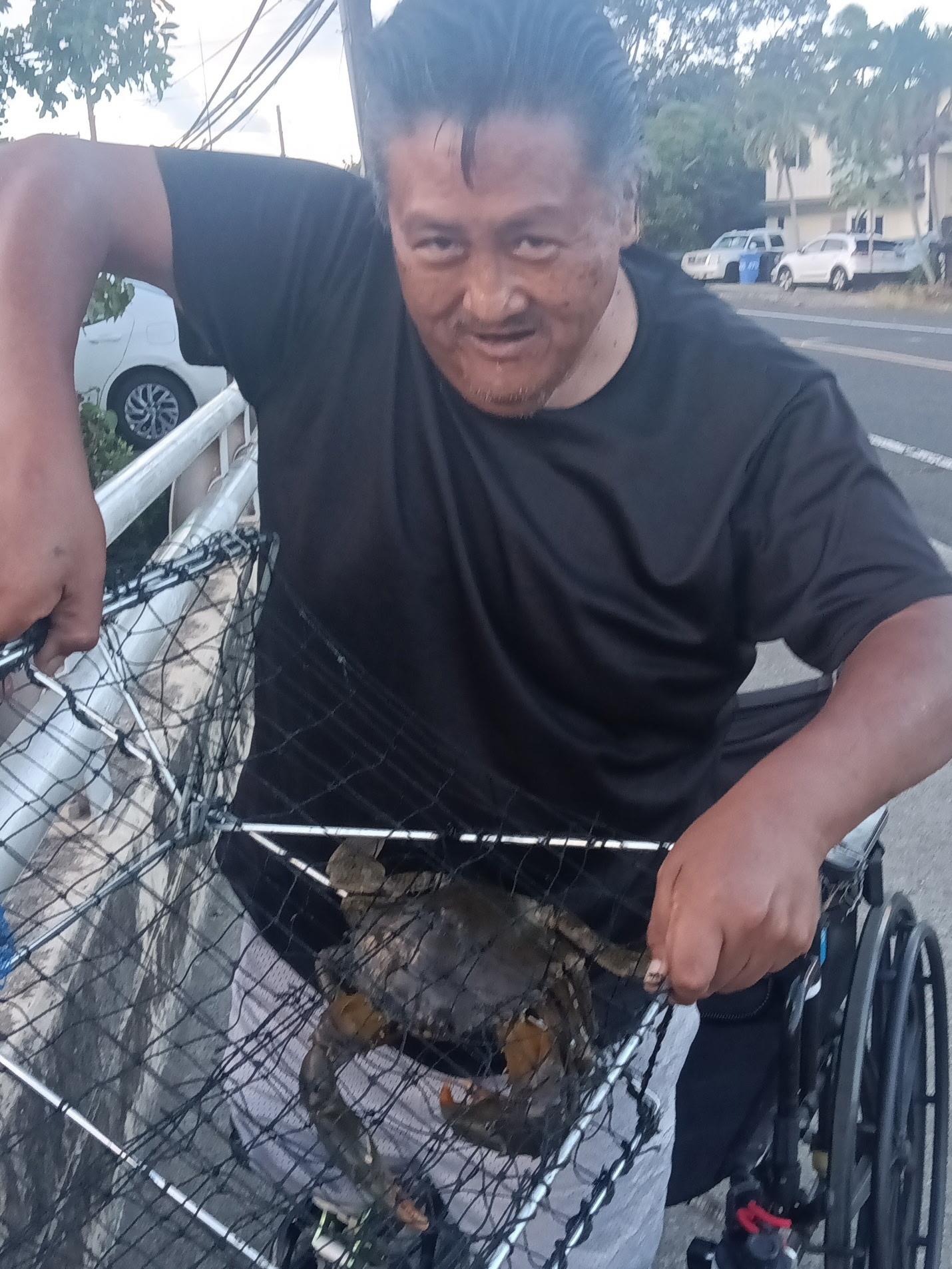 A man in a wheelchair catches a large turtle in a trap while sitting by the road.