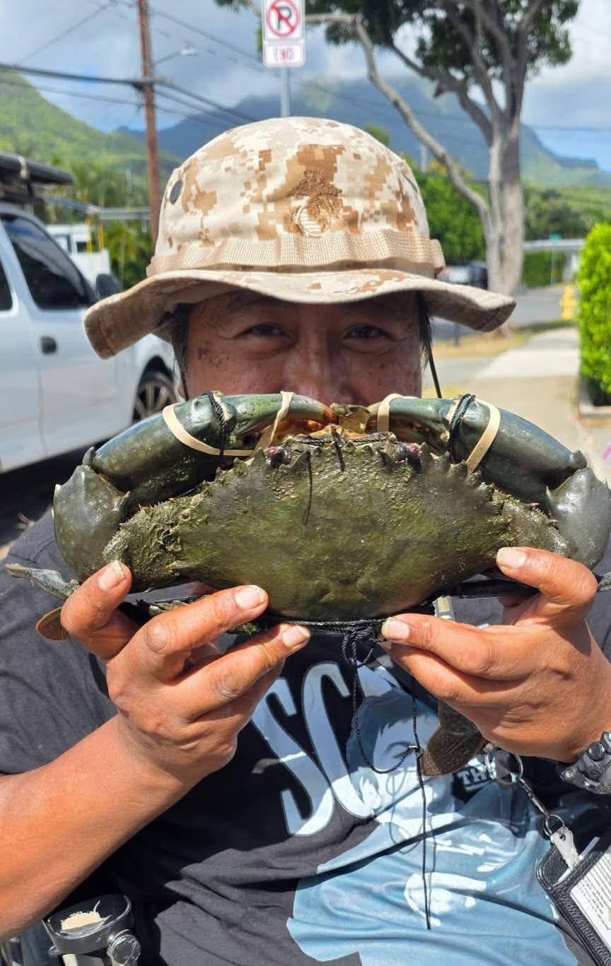 A man shows a big crab he caught while standing by the road with cars around him.