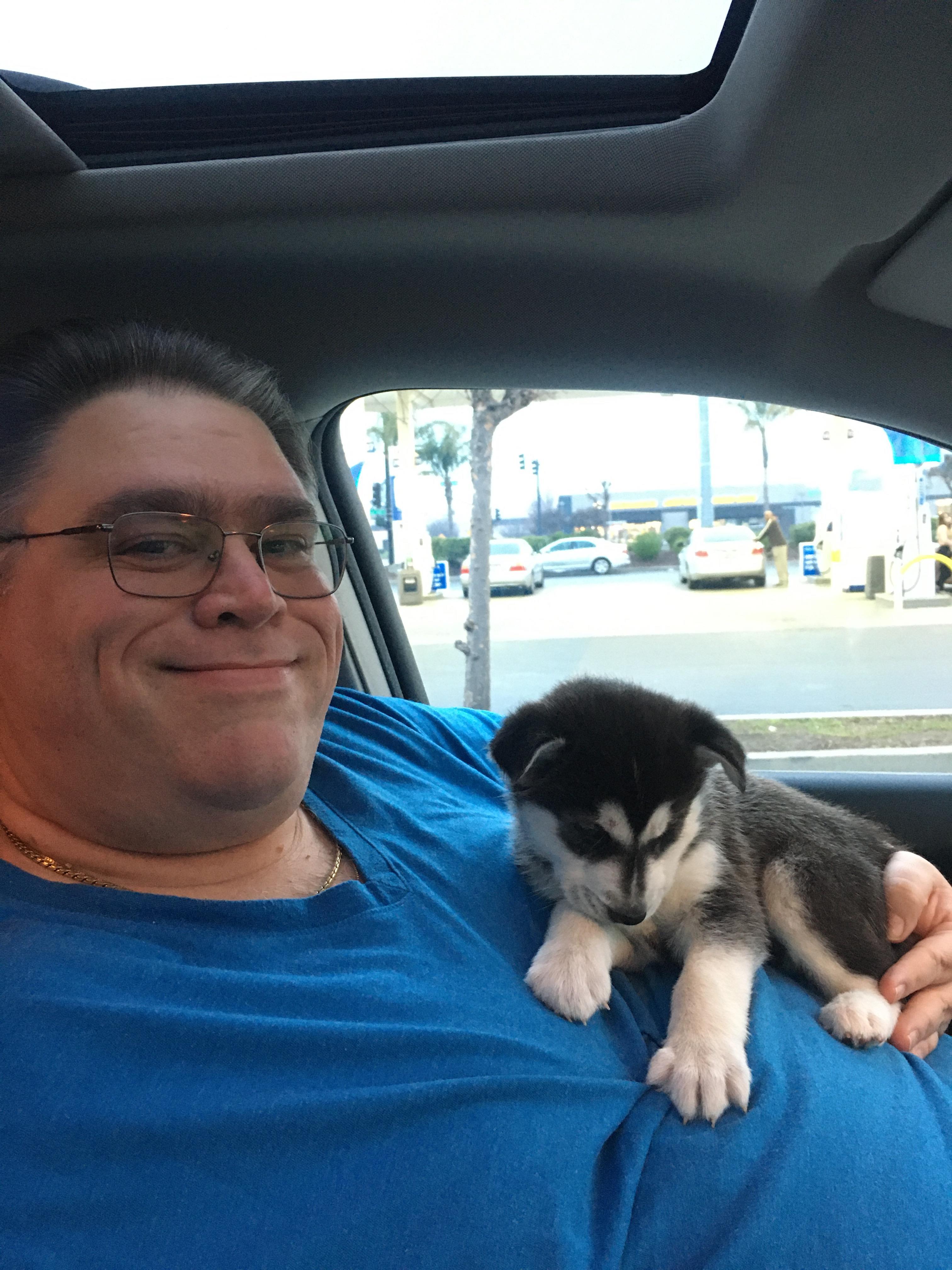 A man is in a car smiling while holding a small puppy on his lap. Cars are parked nearby.