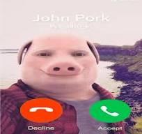A pig with a pig head