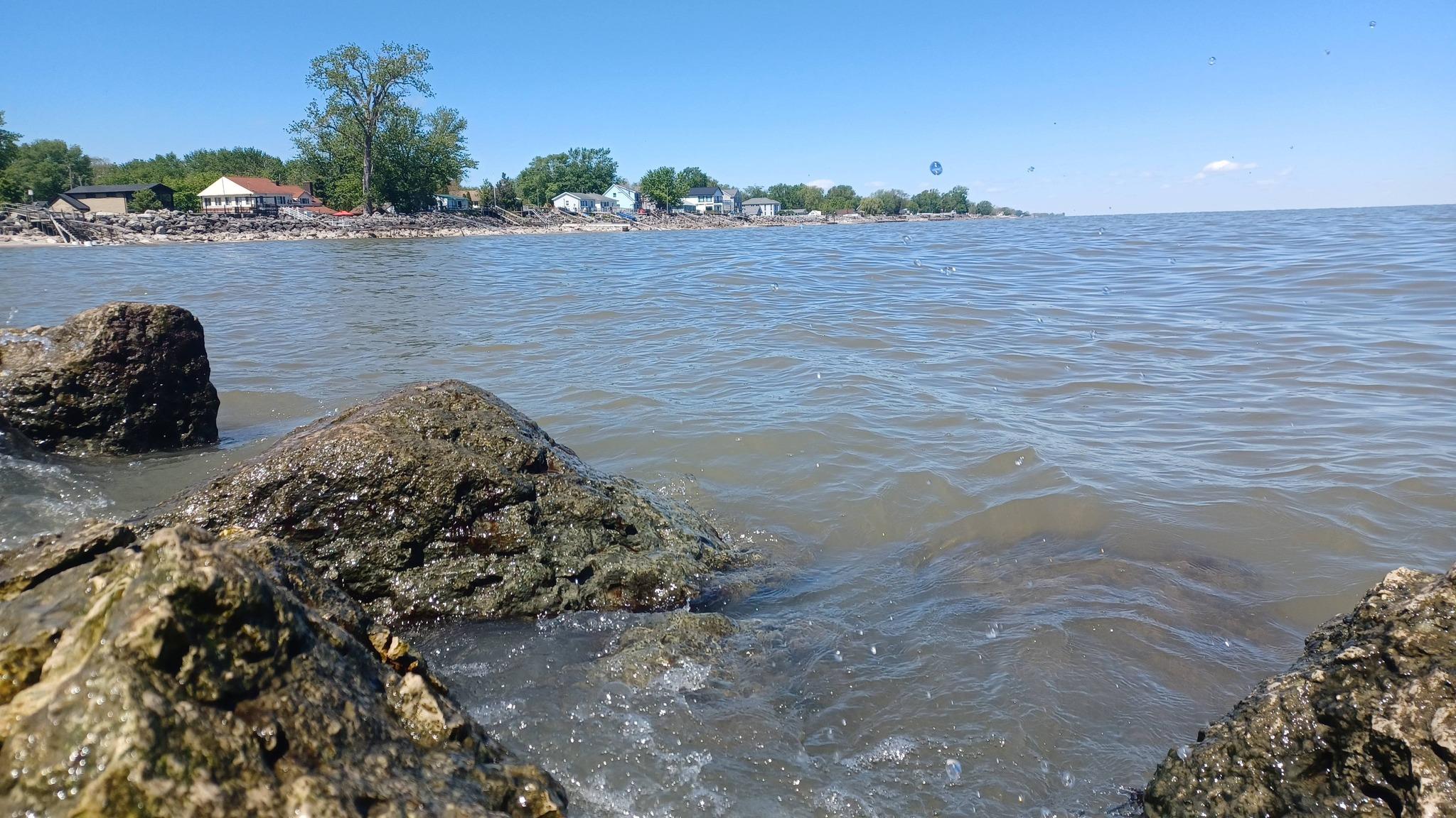 A rocky shore with trees in the background