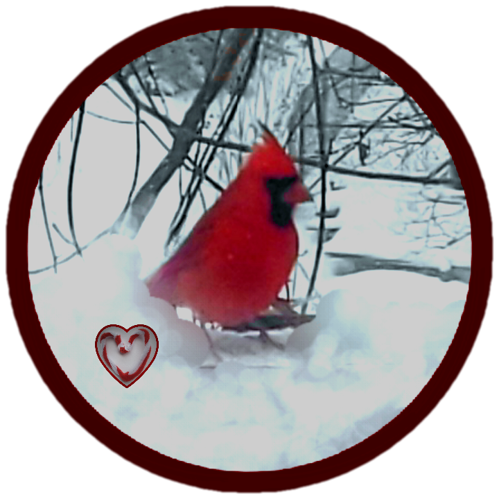 A cardinal bird is moving through the snow near trees on a cold winter day.