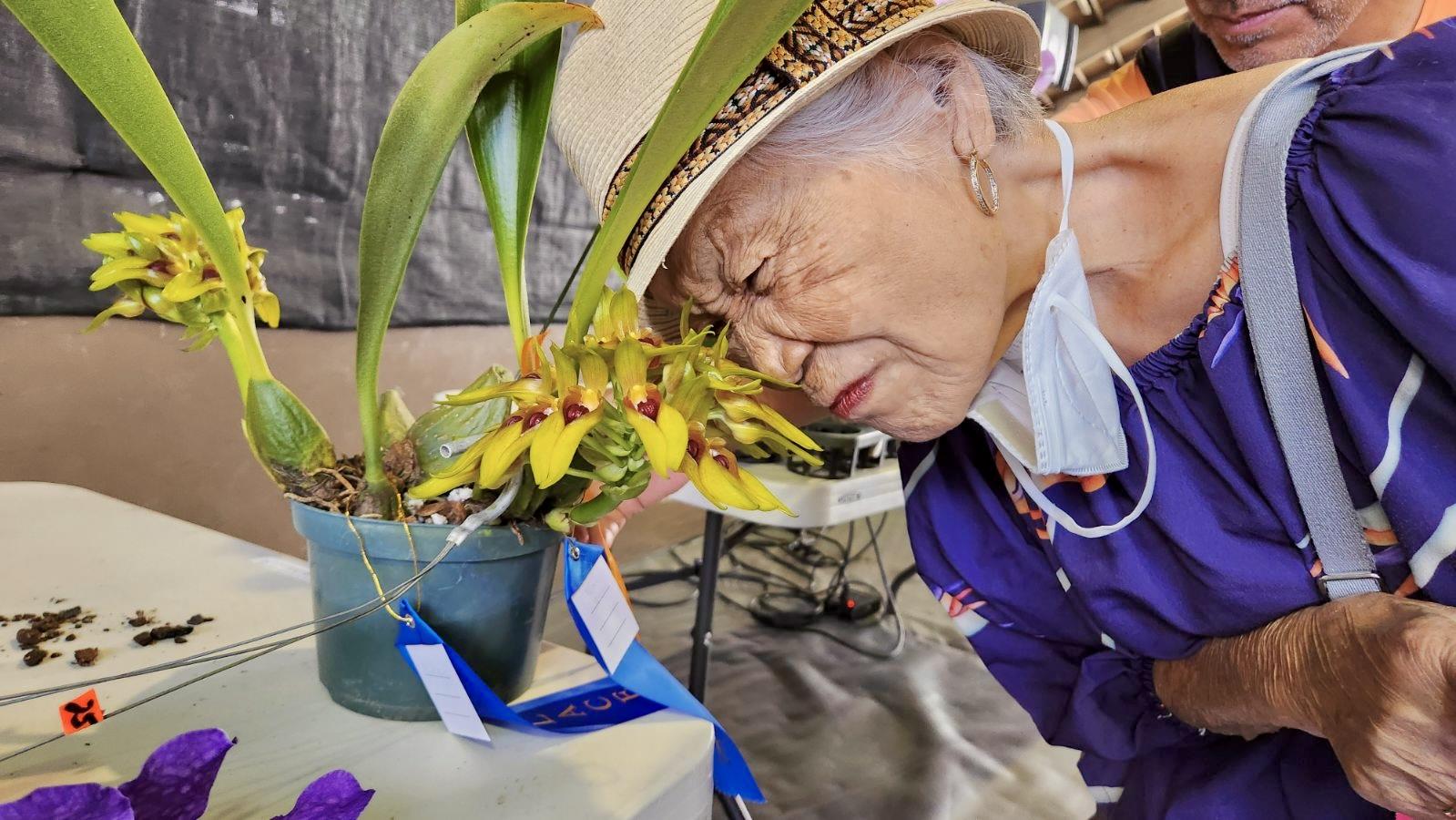 Older person closely looks at a flower pot with yellow blooms during a plant event.