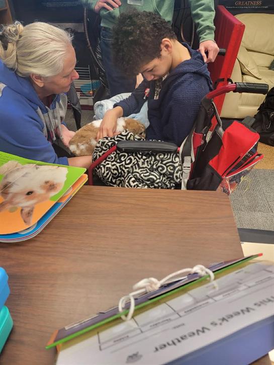 A woman holding a dog in a bag