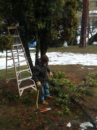 A man standing next to a ladder and a tree