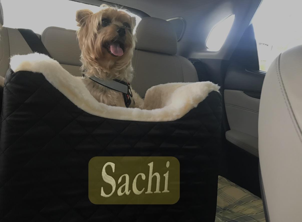A dog in a car seat