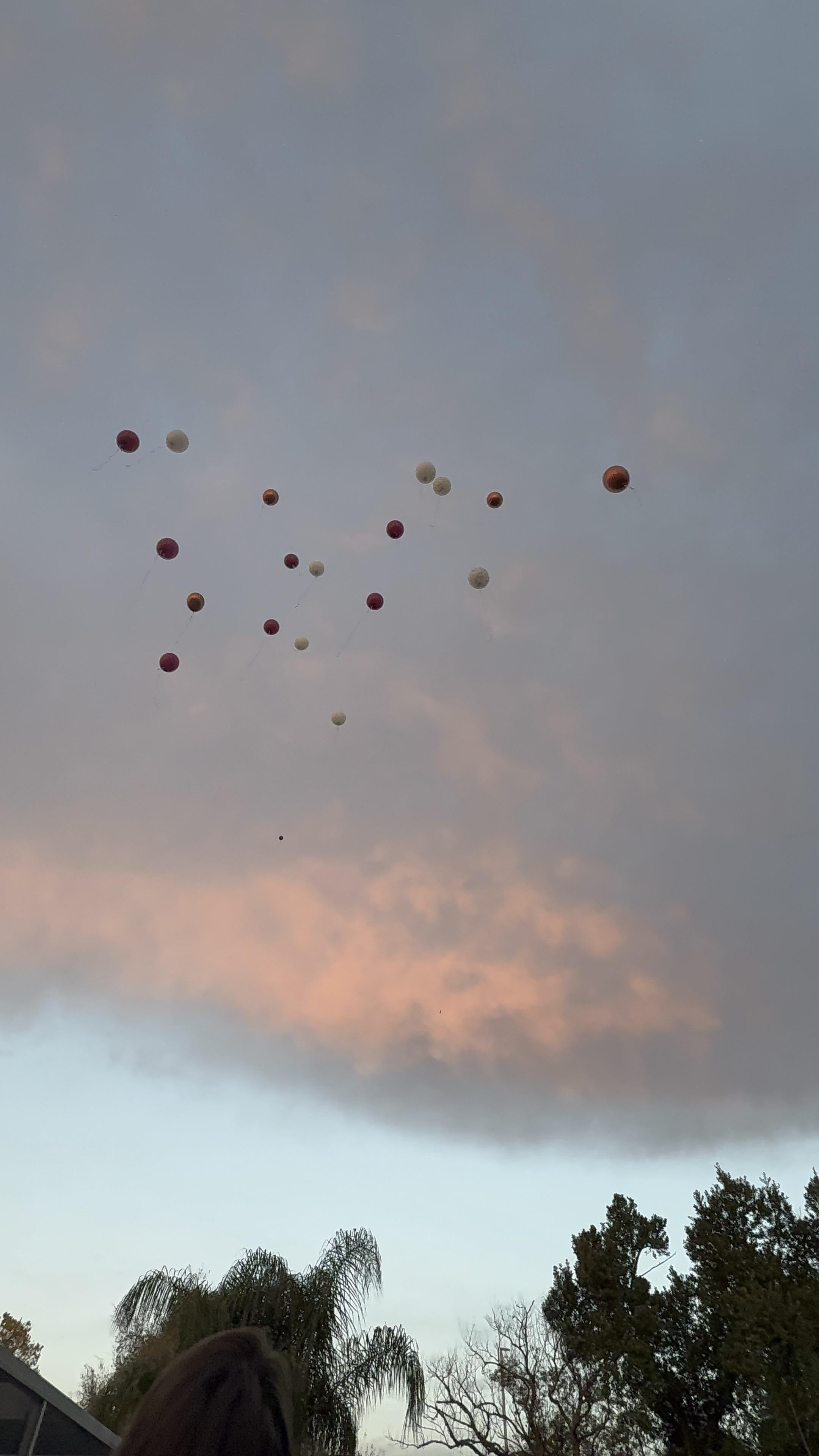 A group of balloons in the sky