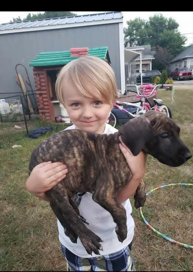 A child holding a dog