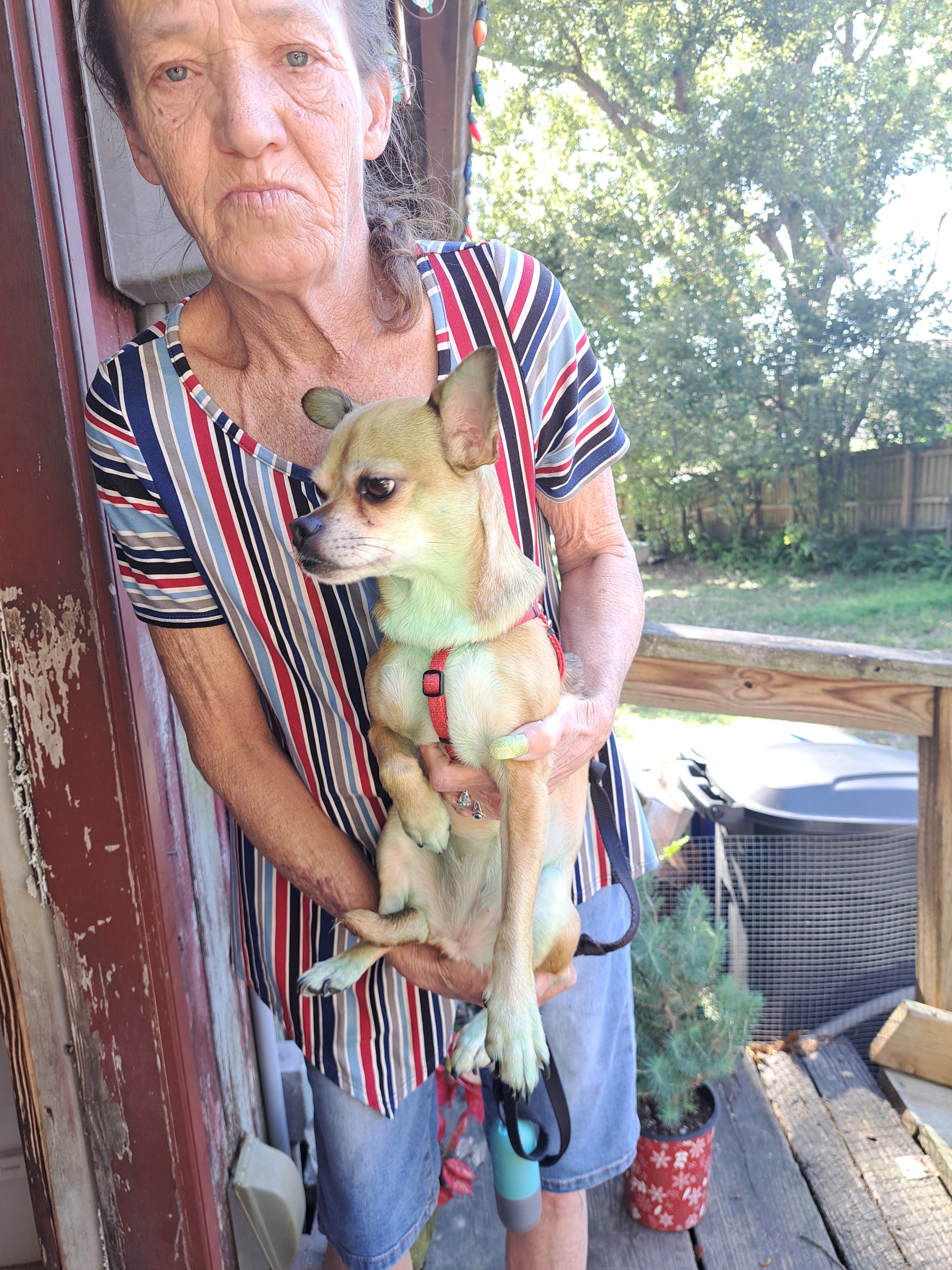 A woman standing outside her home is holding a small dog close to her.